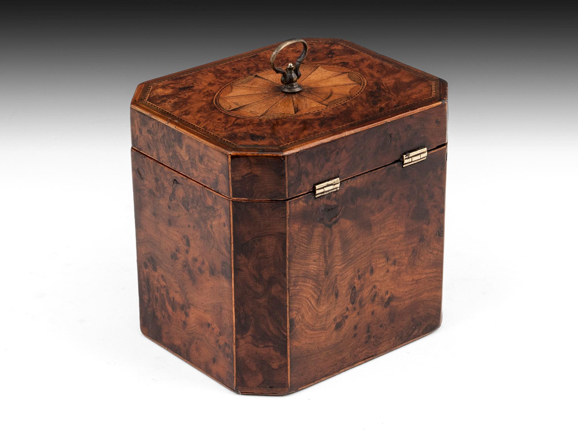 English Georgian Burr Yew Tea Caddy For Sale