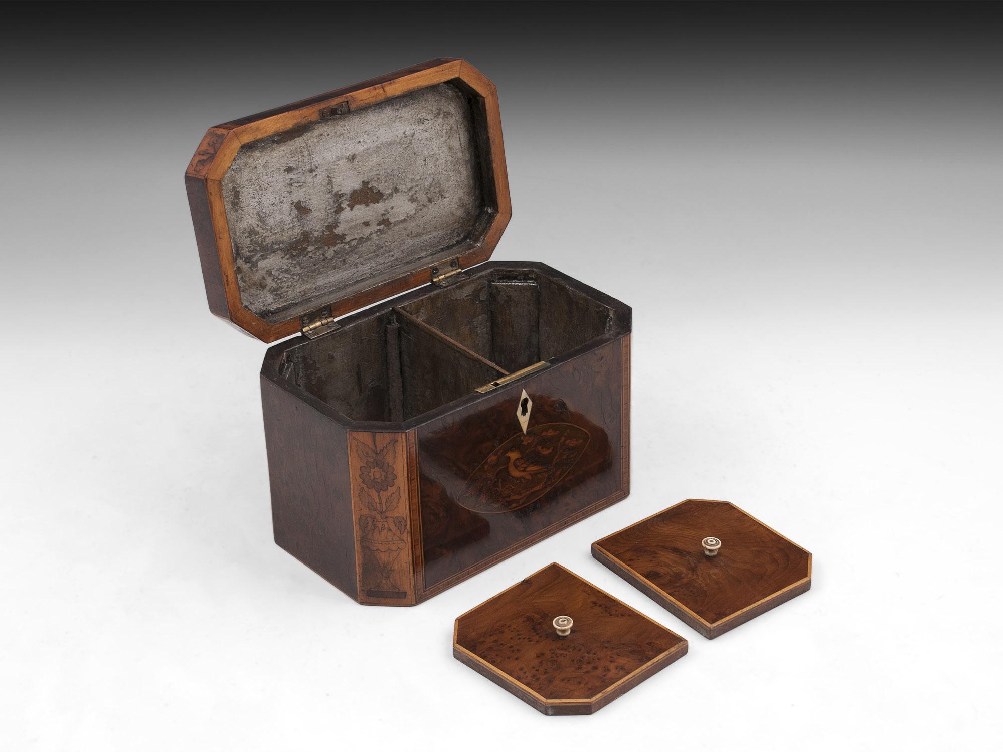 Boxwood Georgian Burr Yew Tea Caddy For Sale