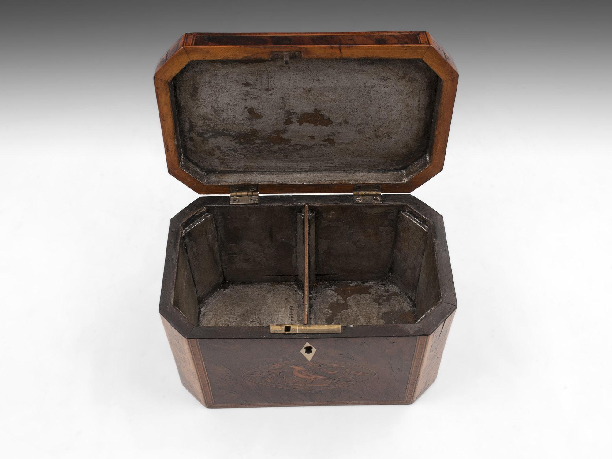 Georgian Burr Yew Tea Caddy For Sale 1