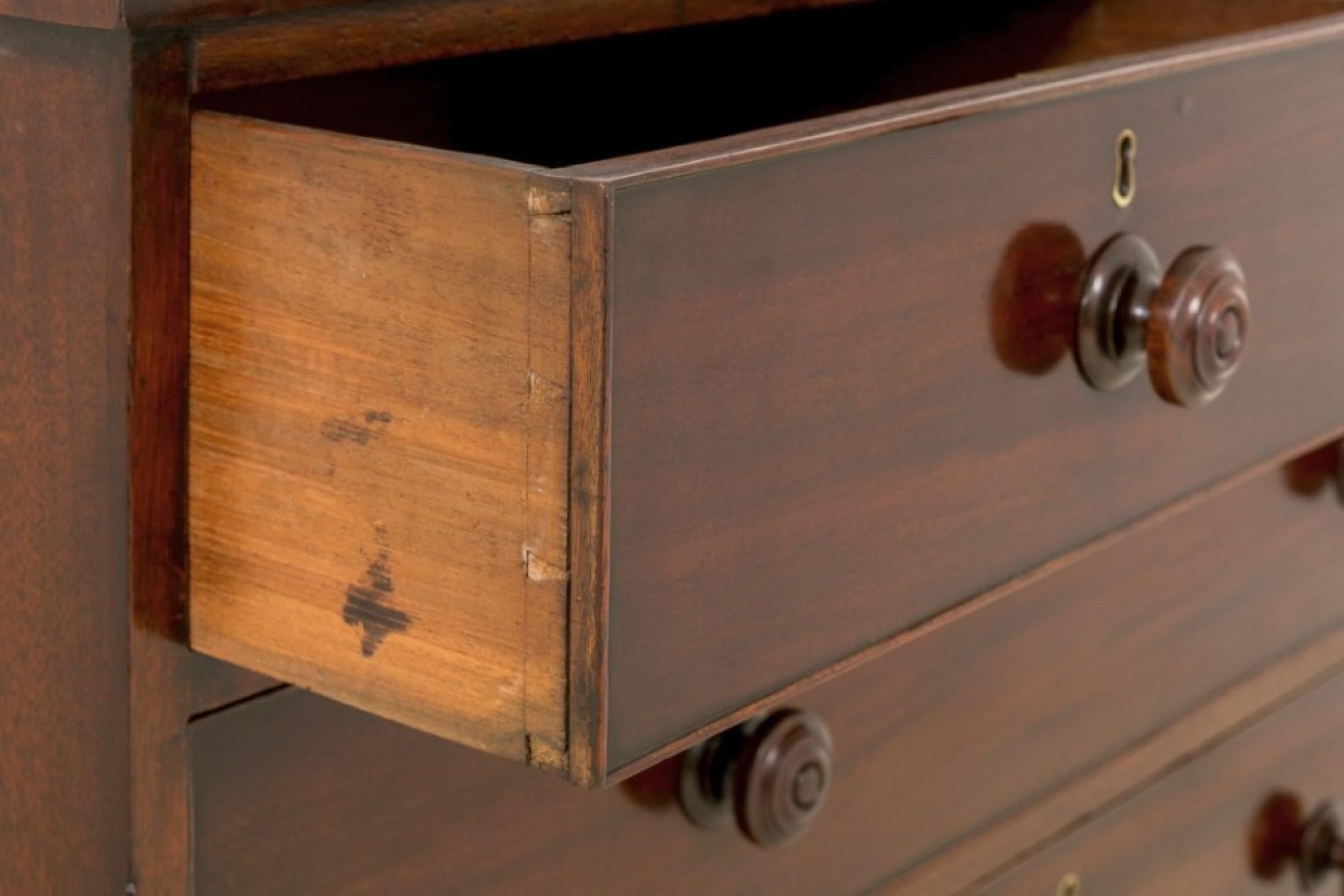 Georgian Chest Drawers Mahogany 1800 Period For Sale 2