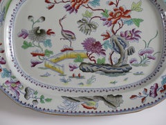 Georgian Davenport Large Meat Platter in Stork Ptn No 24 Ironstone, circa 1815