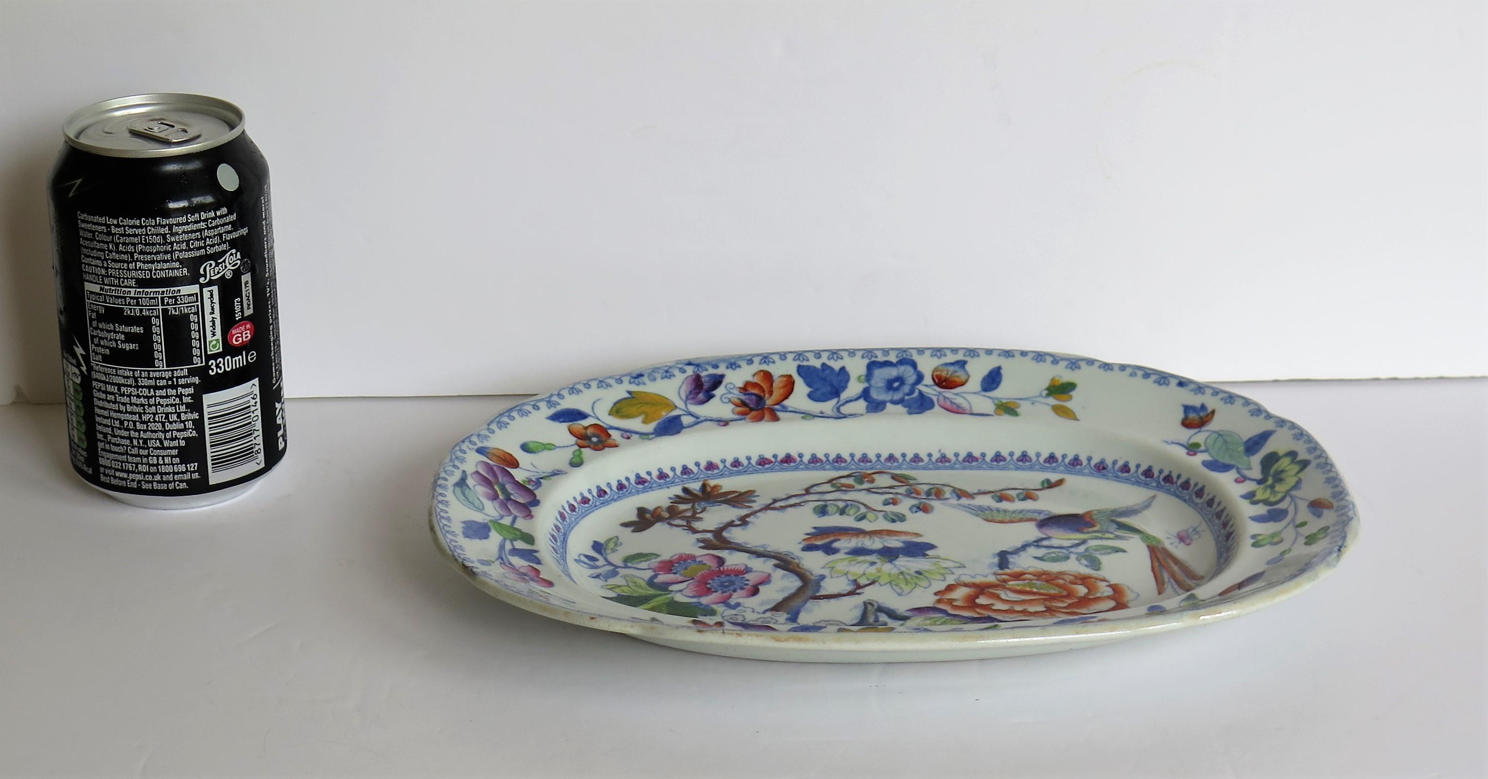 Georgian Davenport Platter, Ironstone Hand Painted Flying Bird Ptn, circa 1820 9