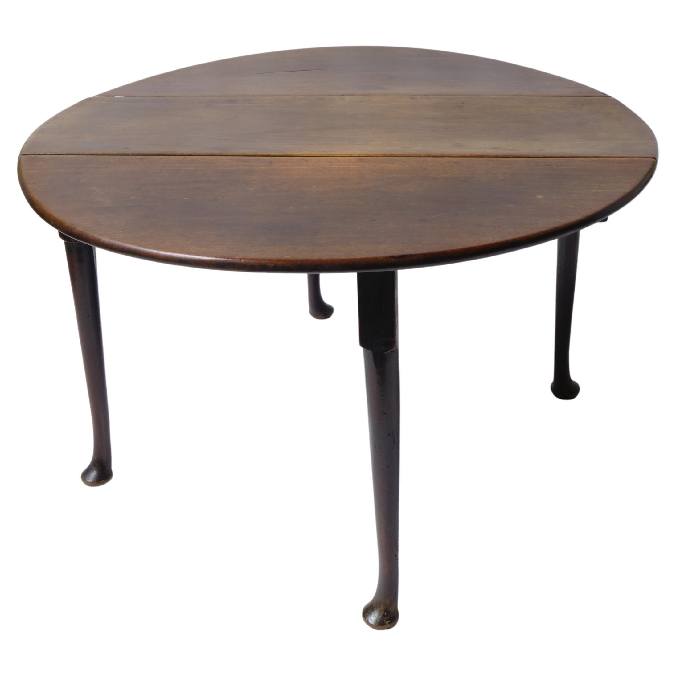 Georgian Drop Leaf Oval Breakfast Table 18th Century English Mahogany