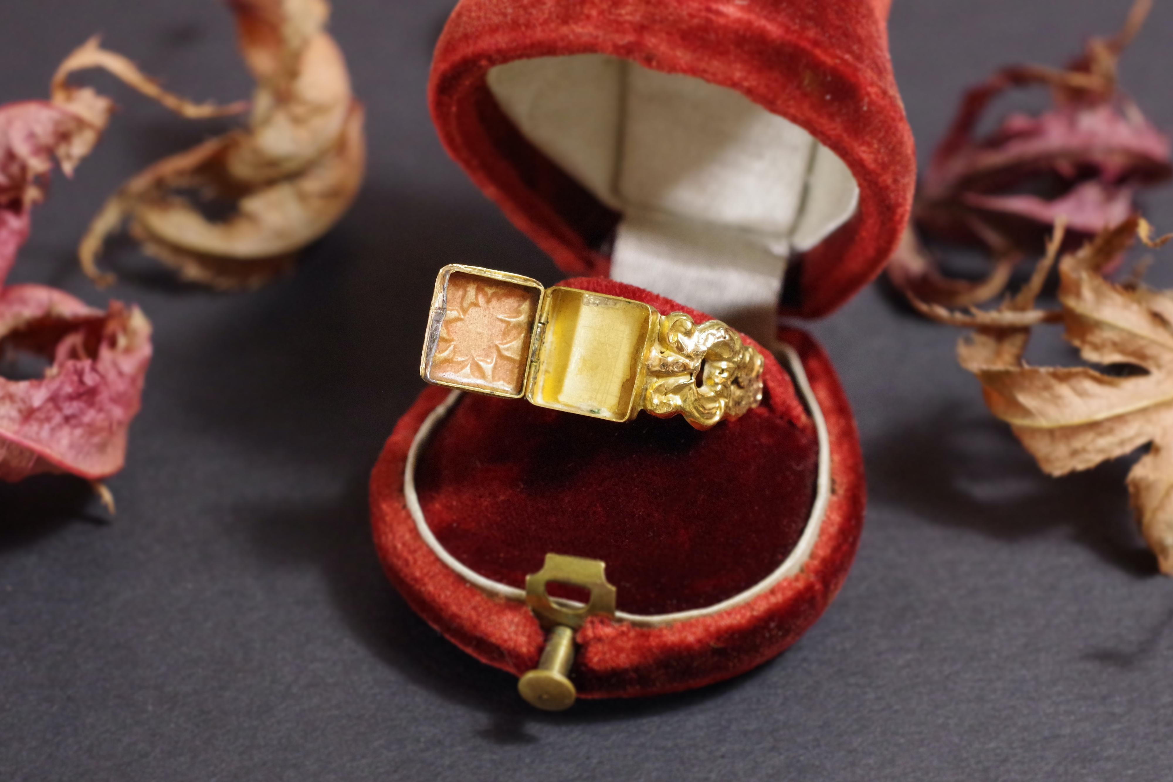 Georgian Enamel Poison Ring in 18k Gold, Secret Poison Antique Ring, Locket Ring 7