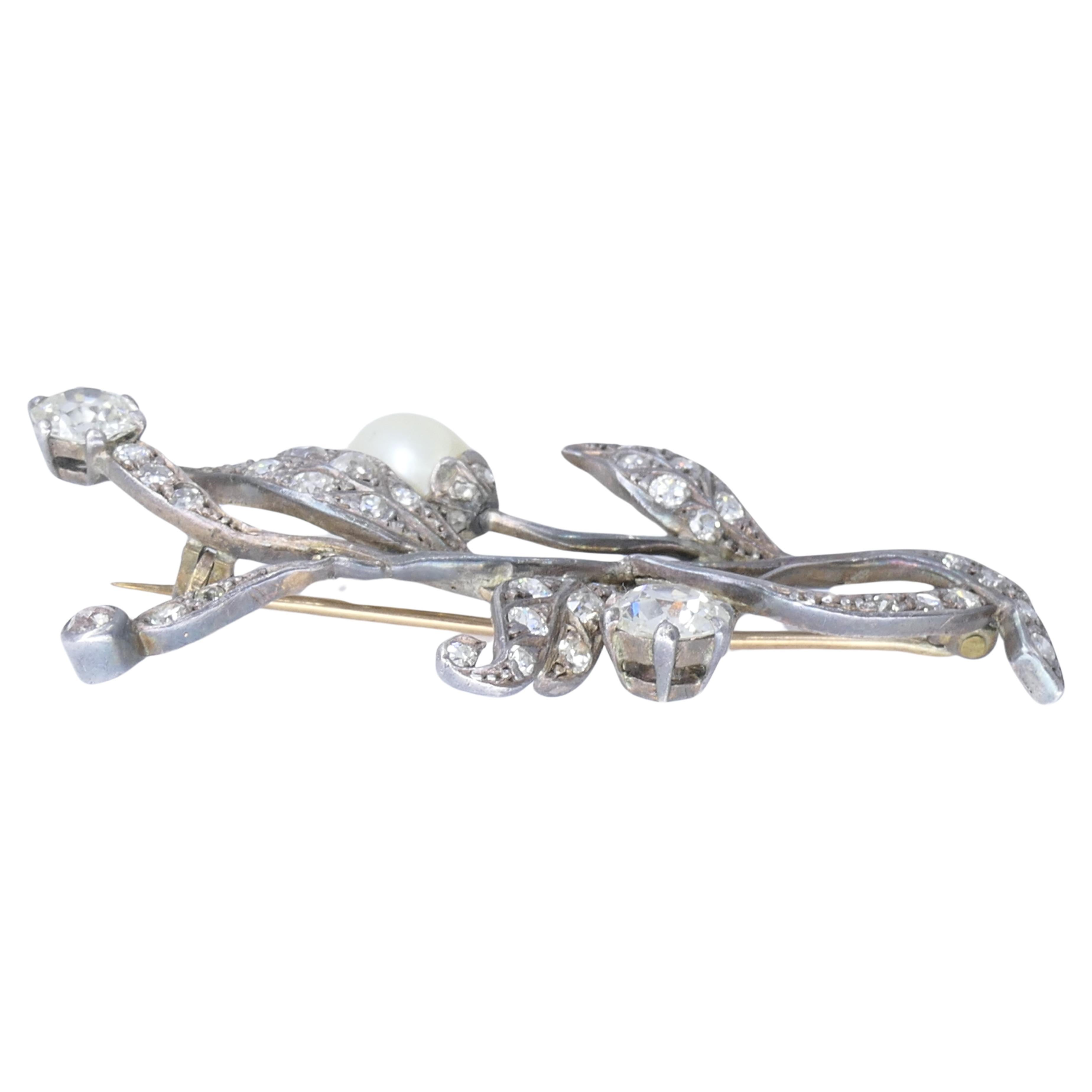 A delicate silver brooch from the Georgian era, featuring a pearl, antique cut diamonds and a 9k gold pin.
Designed as a flower, the brooch has two old mine cut diamond “buds” and a pearl blooming “floret.” The leaves are encrusted with the old mine