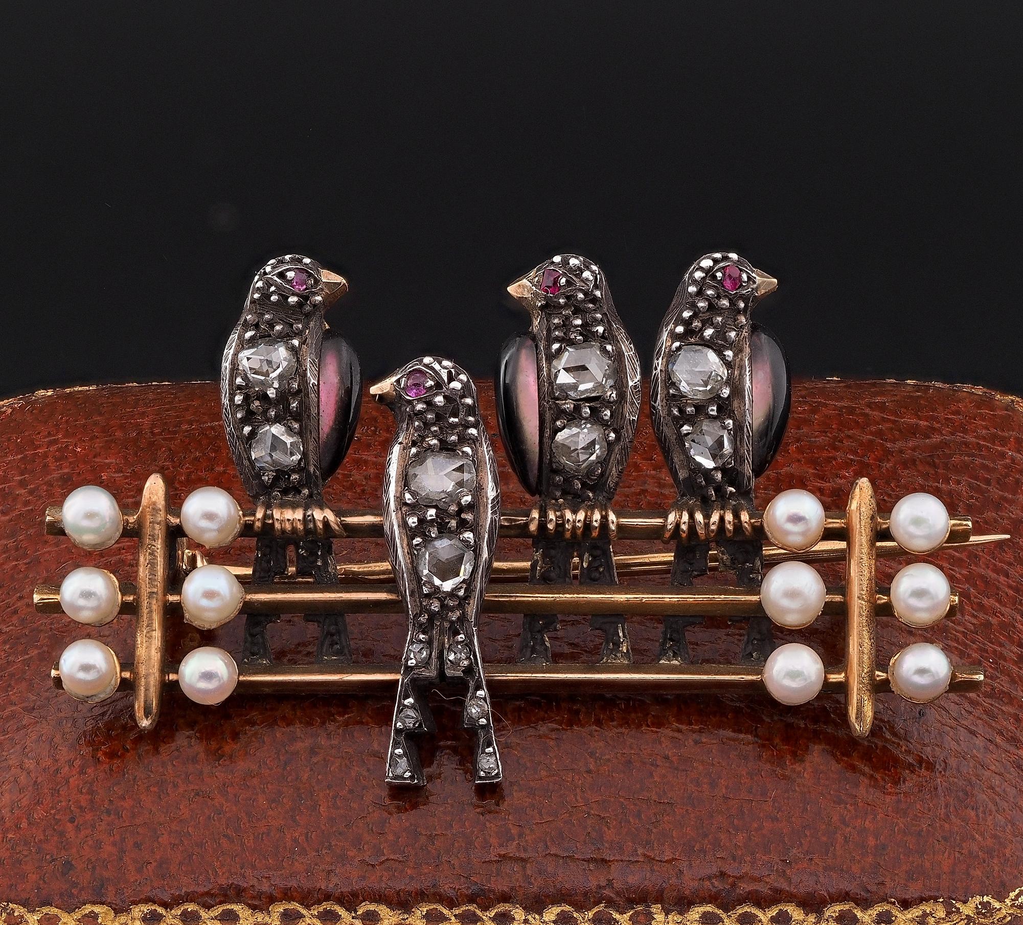 Kostbare Vergangenheit Neuheit
Süße Brosche aus der georgianischen Periode, mit französischen Punzen 1796 ca - handgefertigt aus massivem 18 KT Gold und Silberteilen
Vier Schwalben, die auf Schienen liegen, wunderschön mit natürlichen Perlen an den