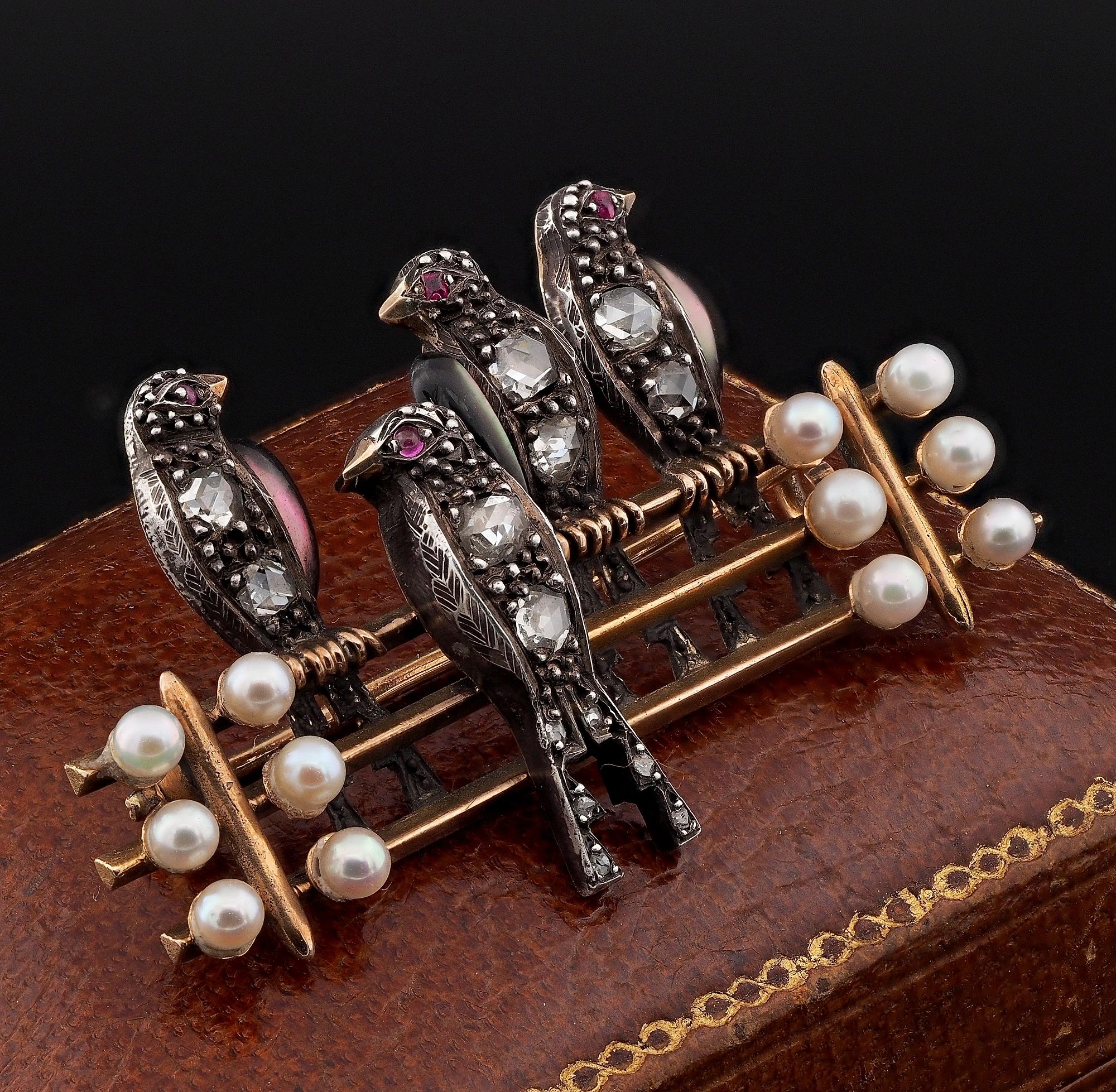 Georgian French Pearl Diamond Novelty Swallow Brooch  In Good Condition For Sale In Napoli, IT