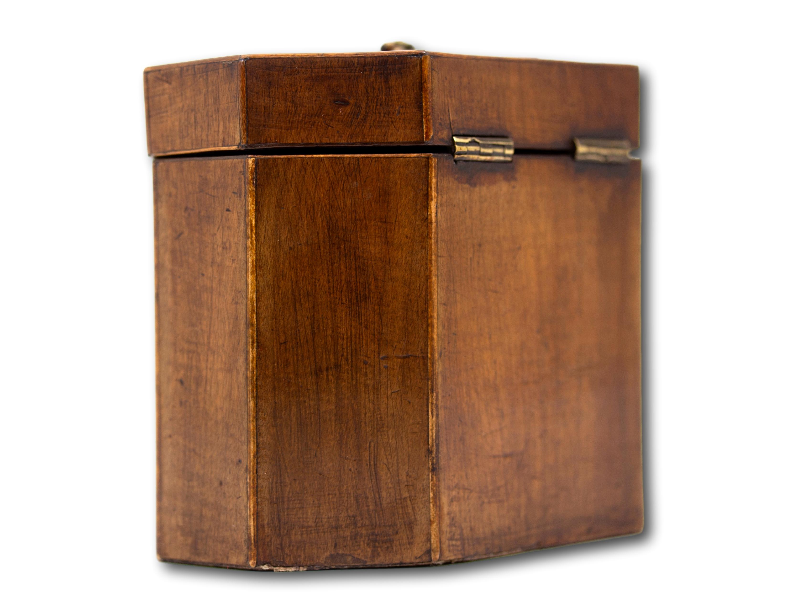 Caja de té georgiana Harewood en Bueno estado para la venta en Northampton, GB
