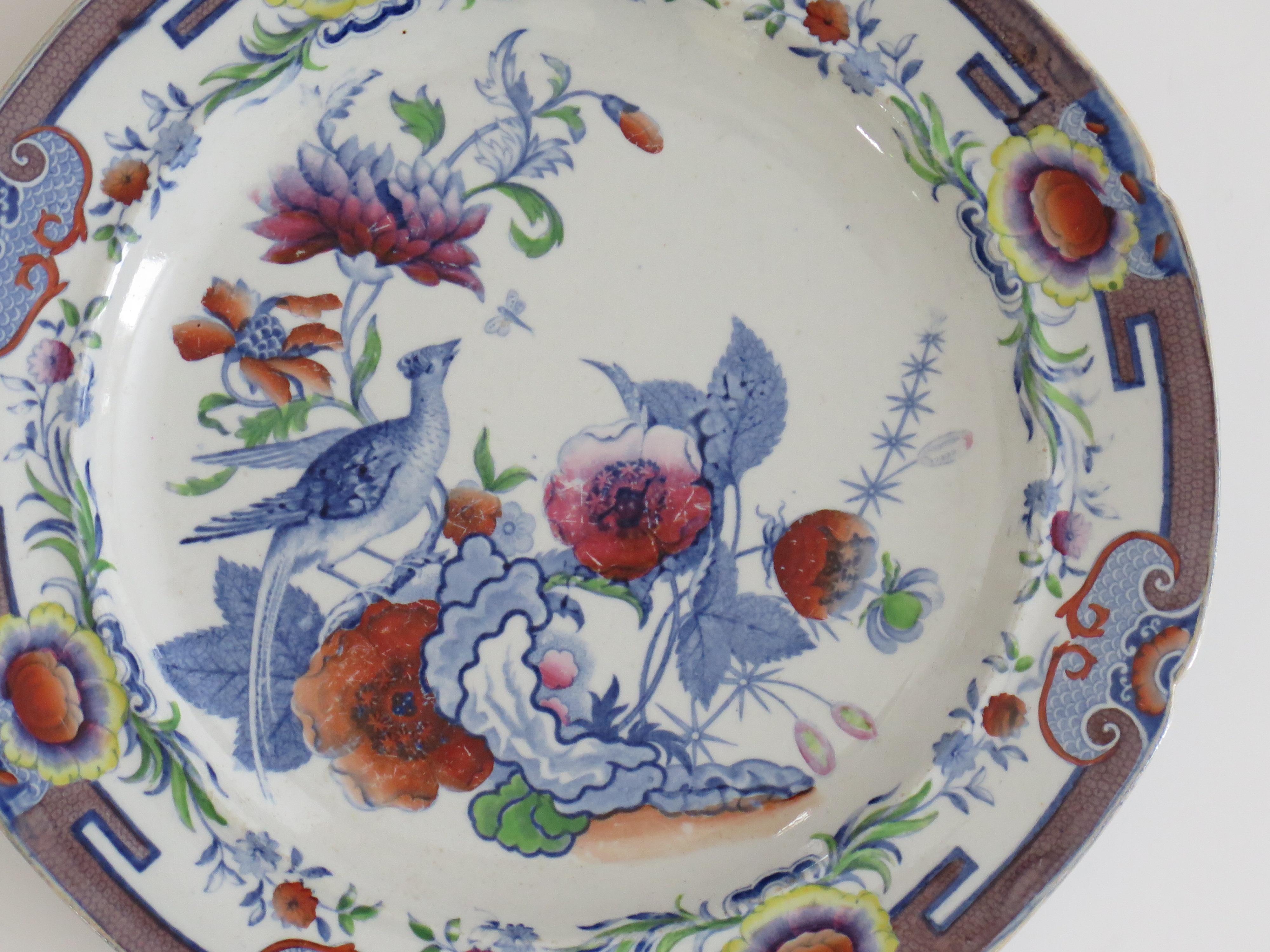 Ironstone Piatto da pranzo georgiano in pietra ferrosa Hicks & Meigh modello fagiano n. 5, 1815 ca. in vendita