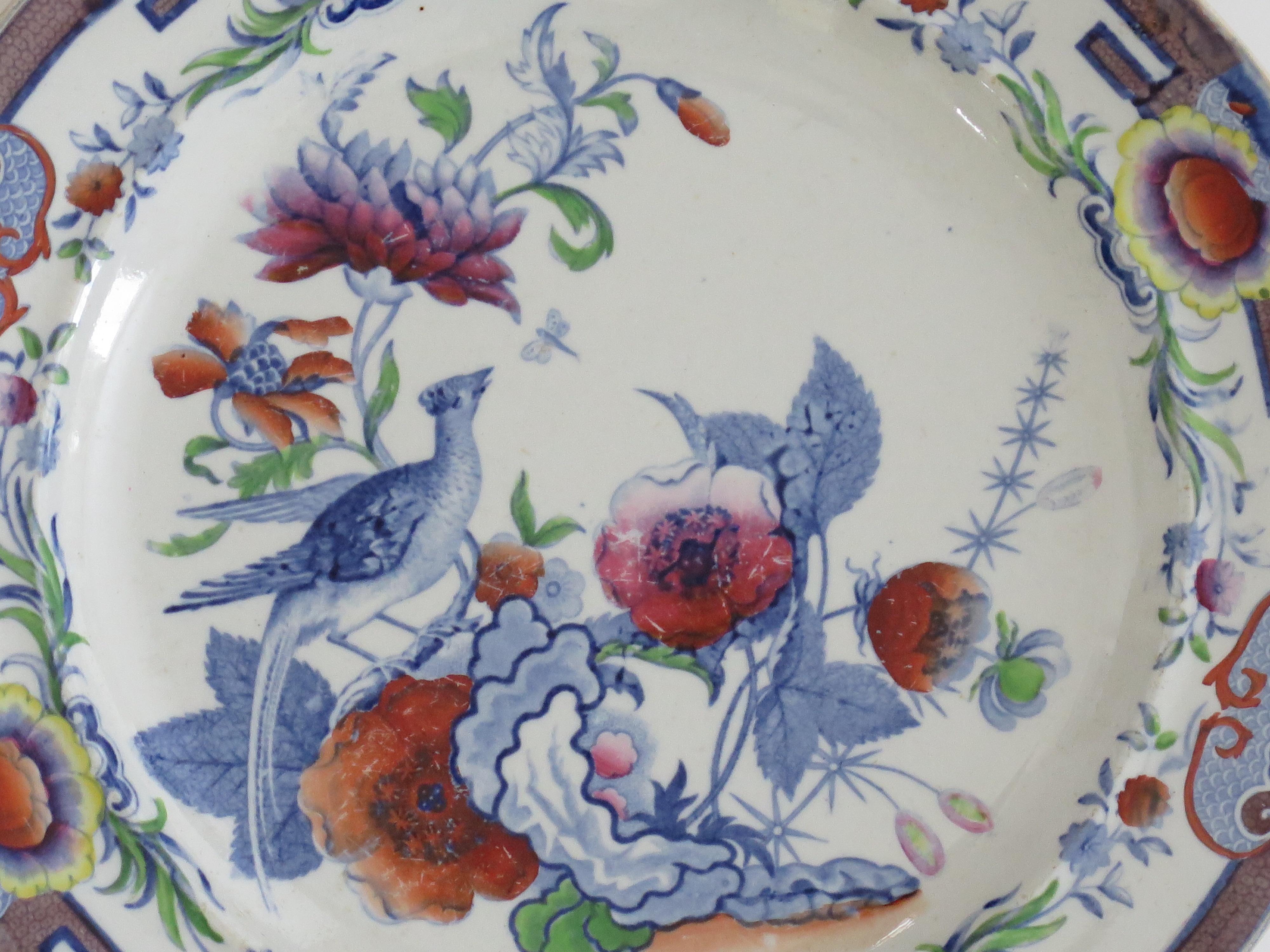 Georgian Hicks & Meigh Ironstone Dinner Plate Pheasant Pattern No.5, Ca 1815  For Sale 2