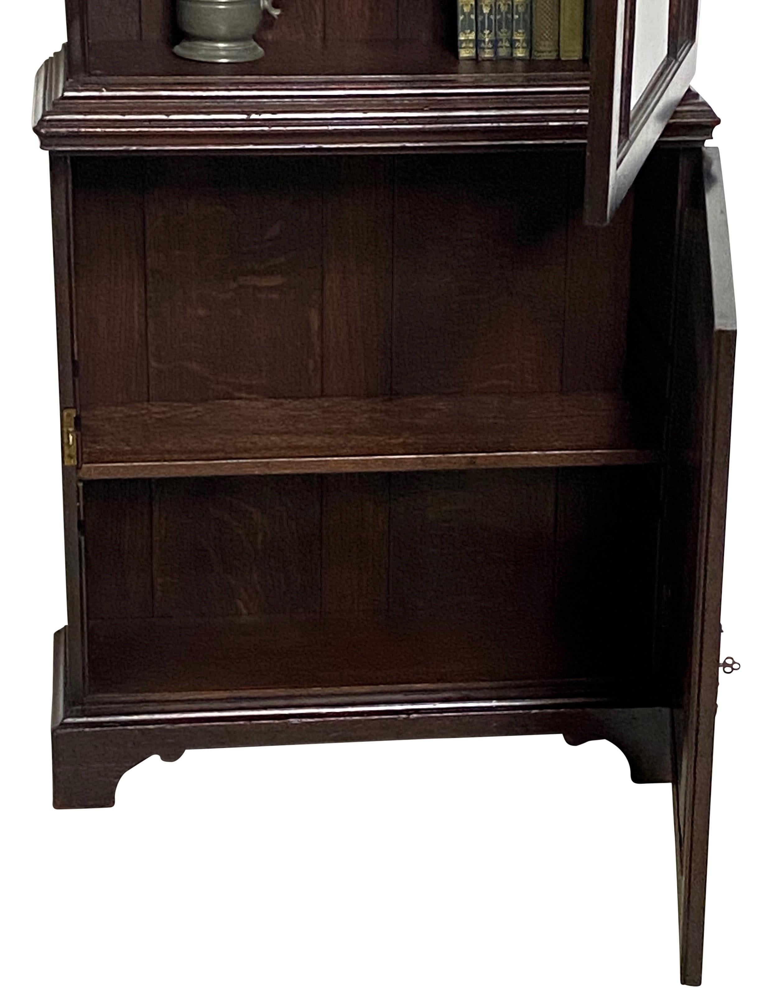 Georgian Mahogany Bookcase Cabinet, English 19th Century For Sale 3