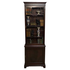 Georgian Mahogany Bookcase Cabinet, English 19th Century