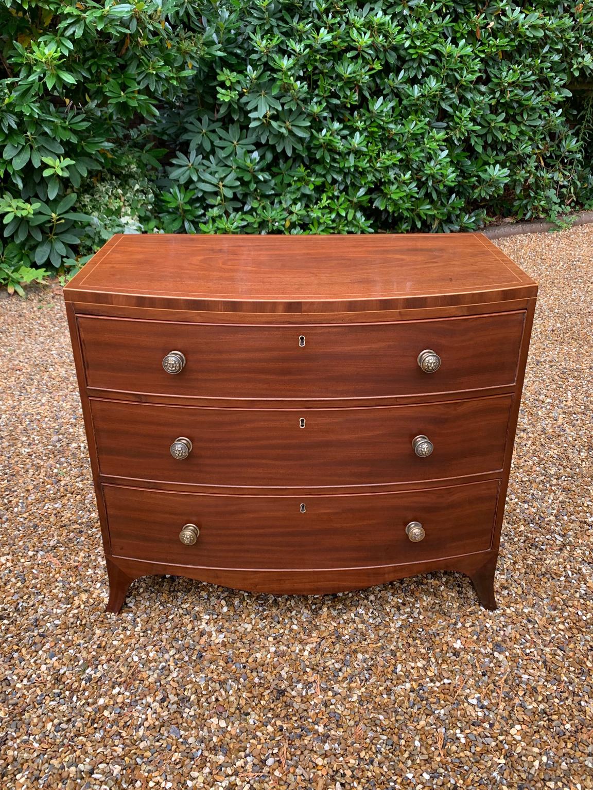 A very high quality 19th century Georgian mahogany bow fronted chest of drawers with three long graduating solid oak lined drawers, brass lion handles and splayed feet.