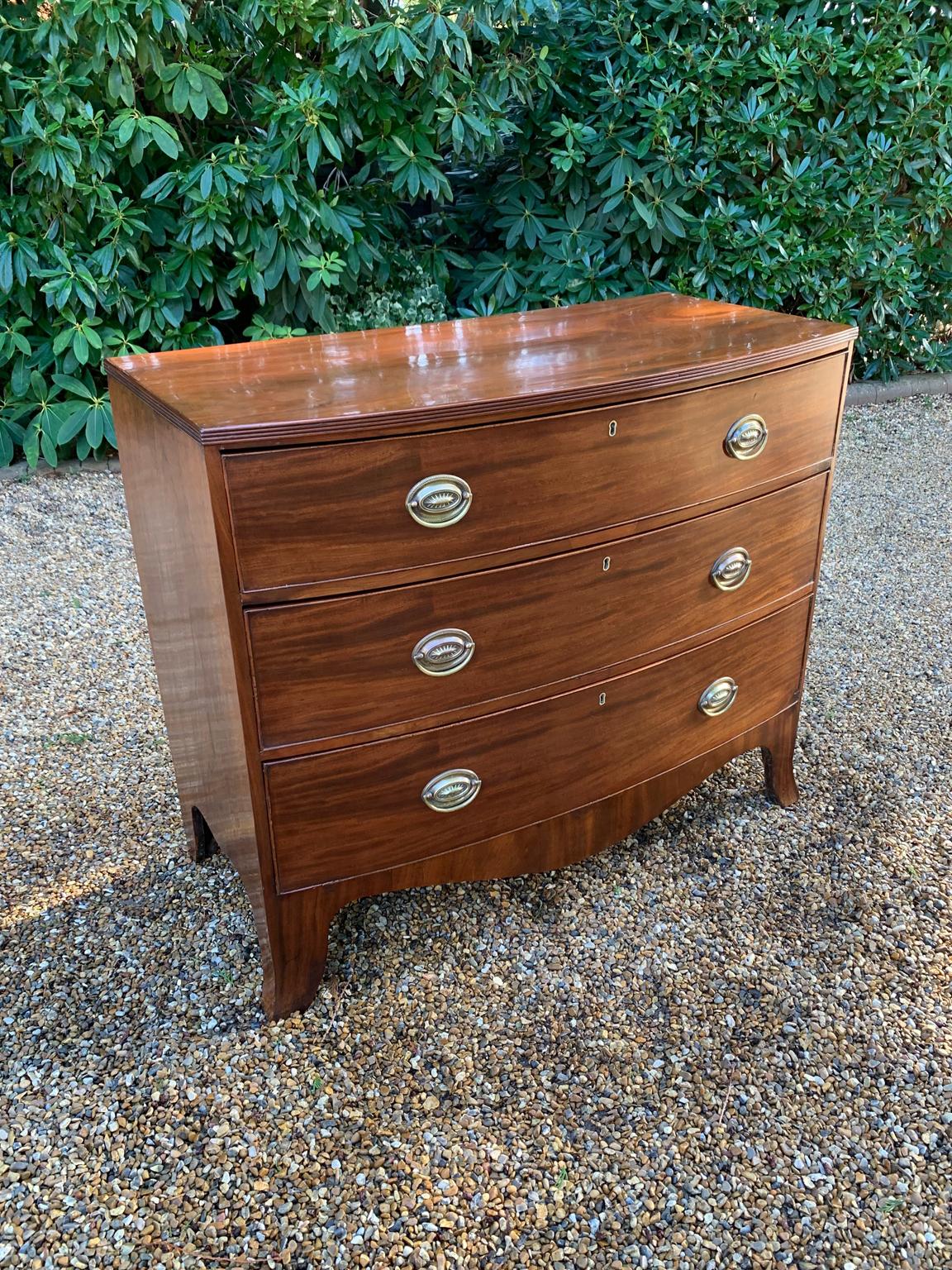 georgian bow fronted chest of drawers