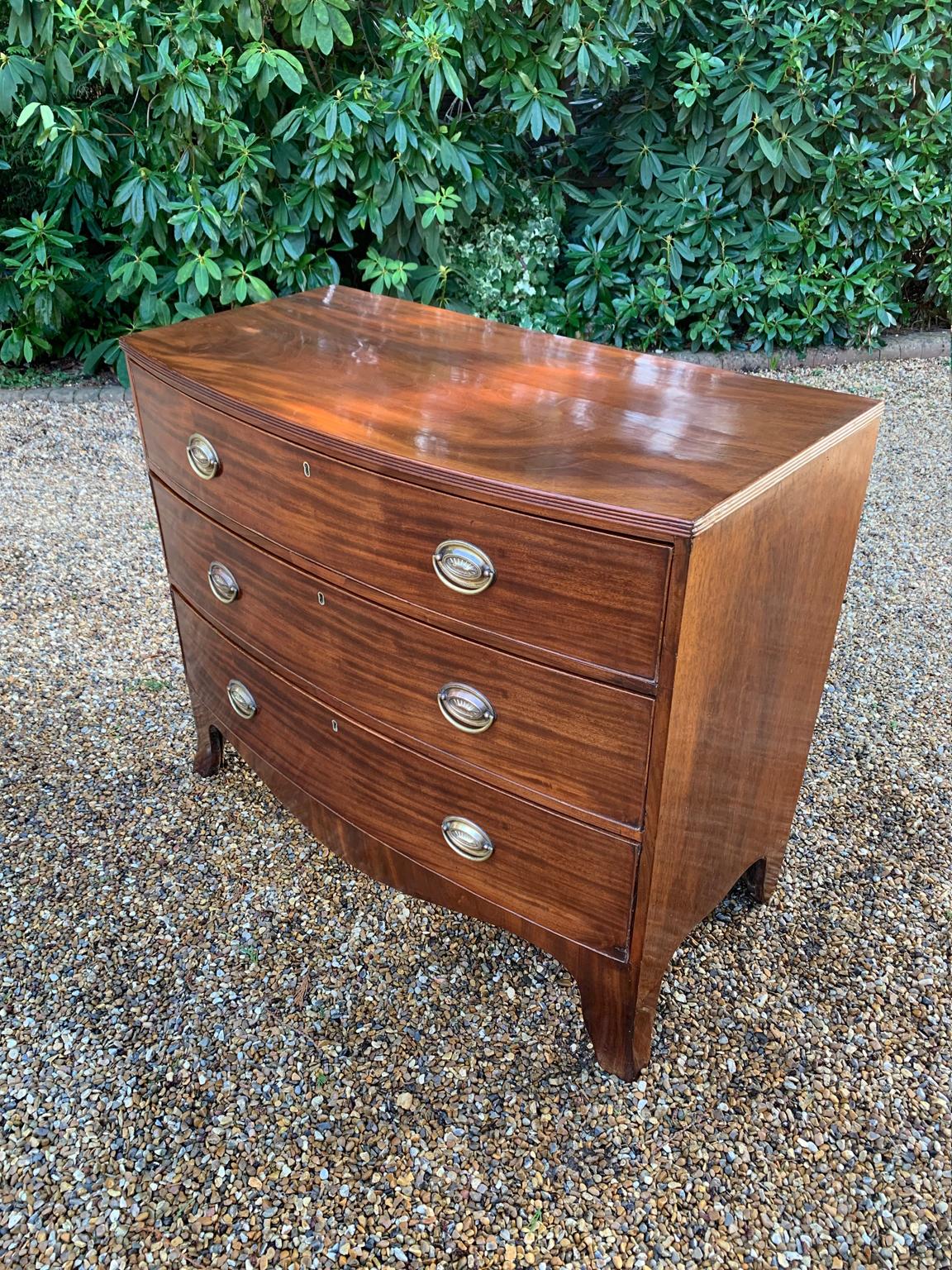 georgian bow front chest of drawers