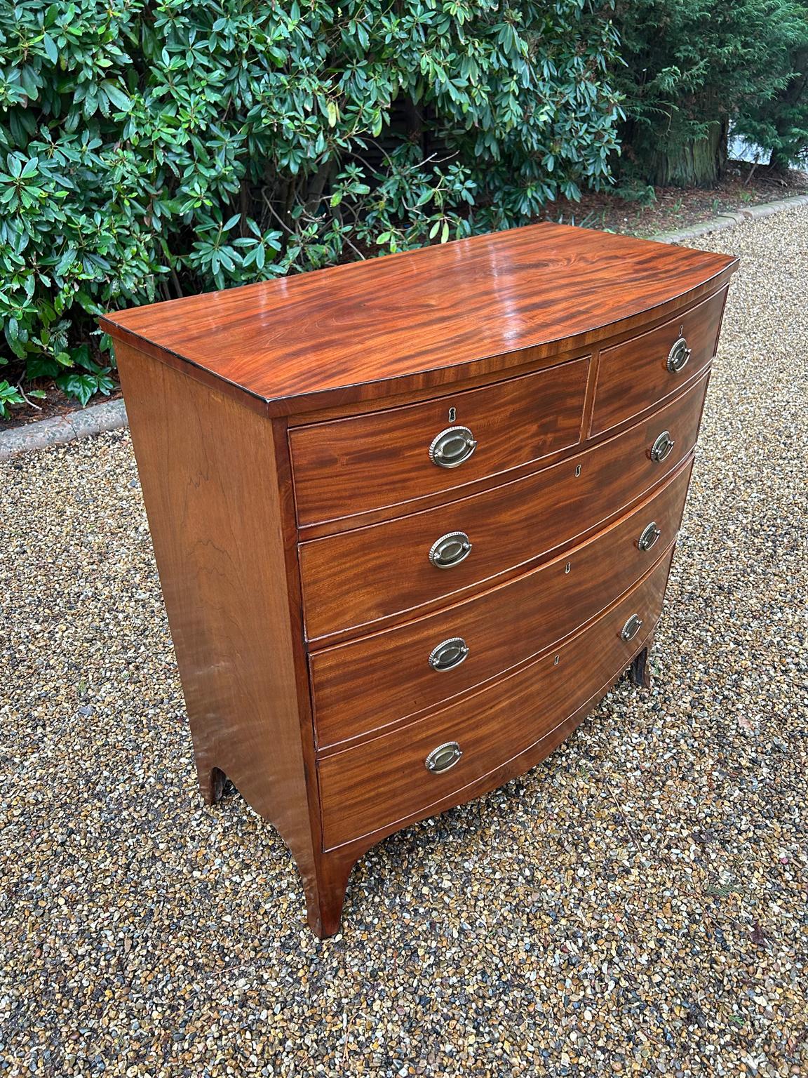 Hand-Crafted Georgian Mahogany Bow Front Chest of Drawers