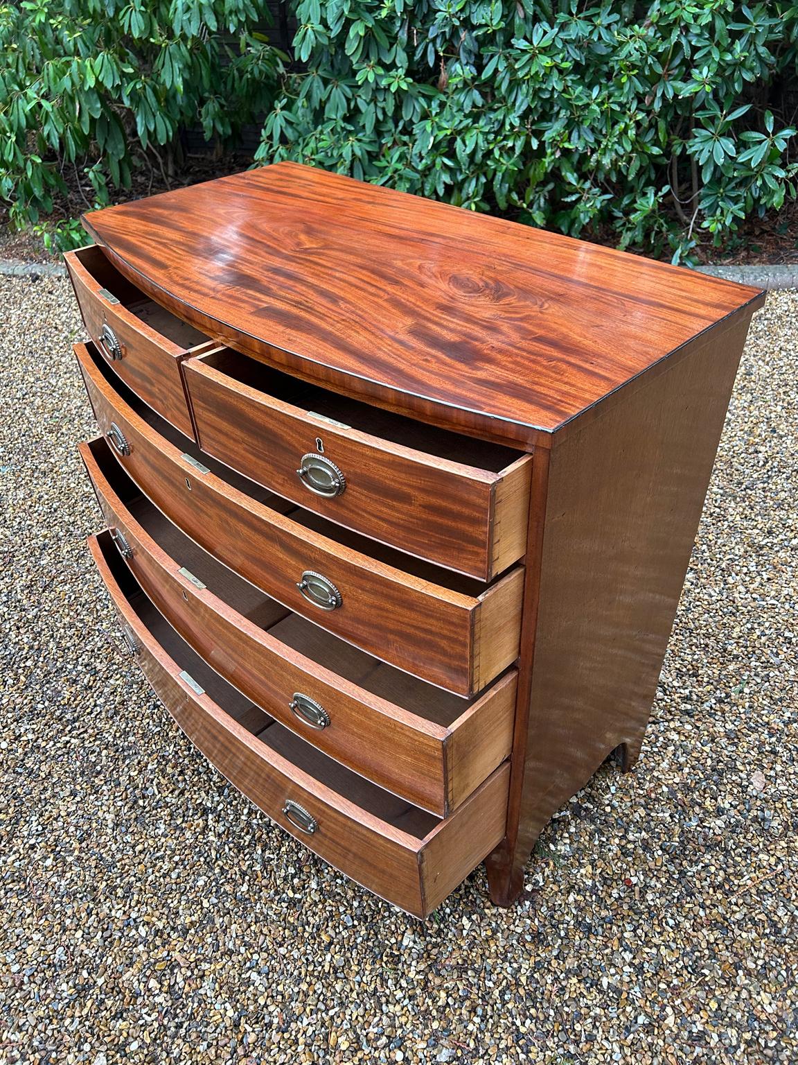 Georgian Mahogany Bow Front Chest of Drawers In Good Condition In Richmond, Surrey