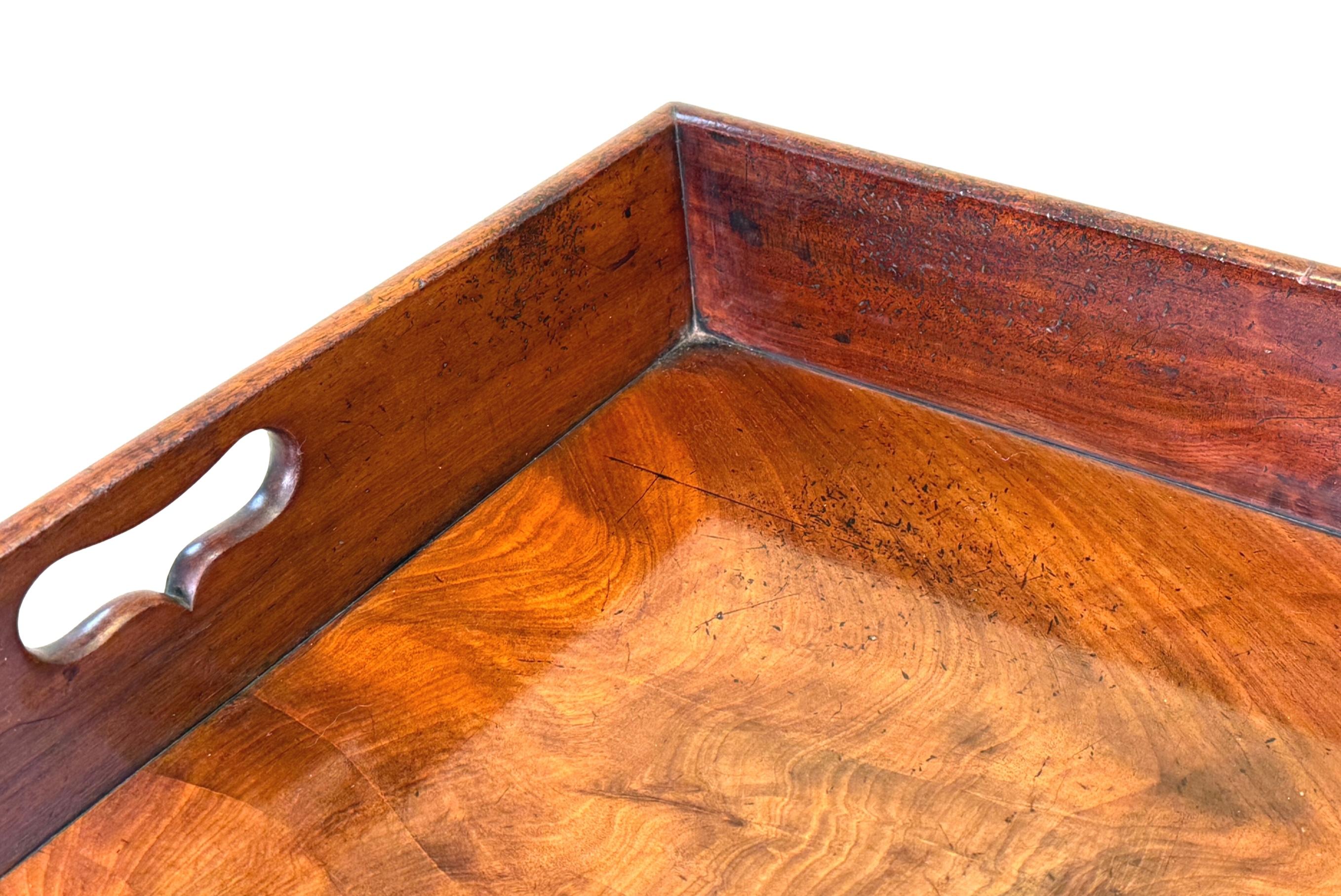 George III Georgian Mahogany Butlers Tray On Folding Stand