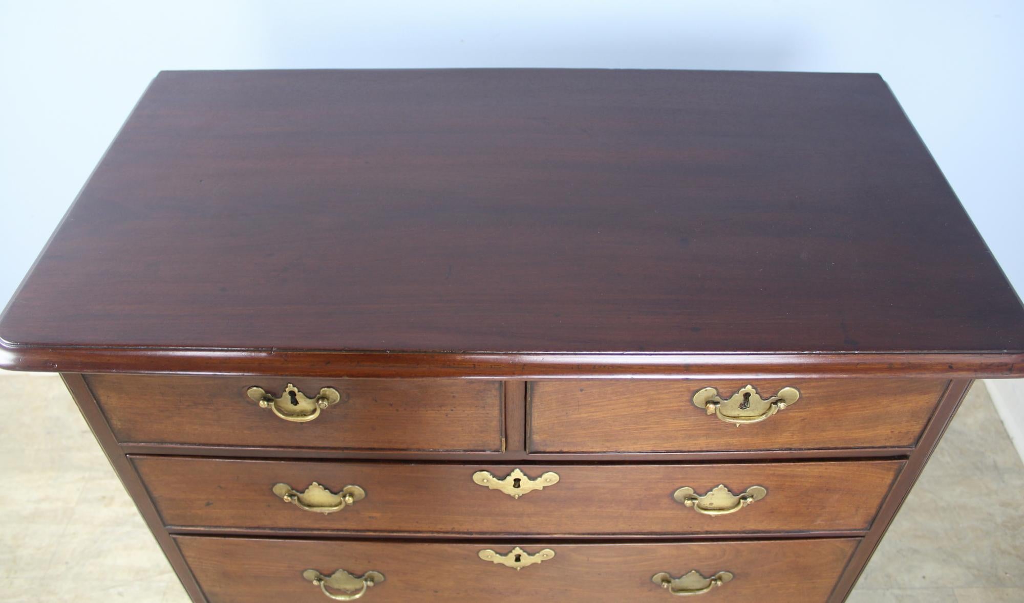 Georgian Mahogany Chest of Drawers, Quarter Columns and Brass Capitals 3