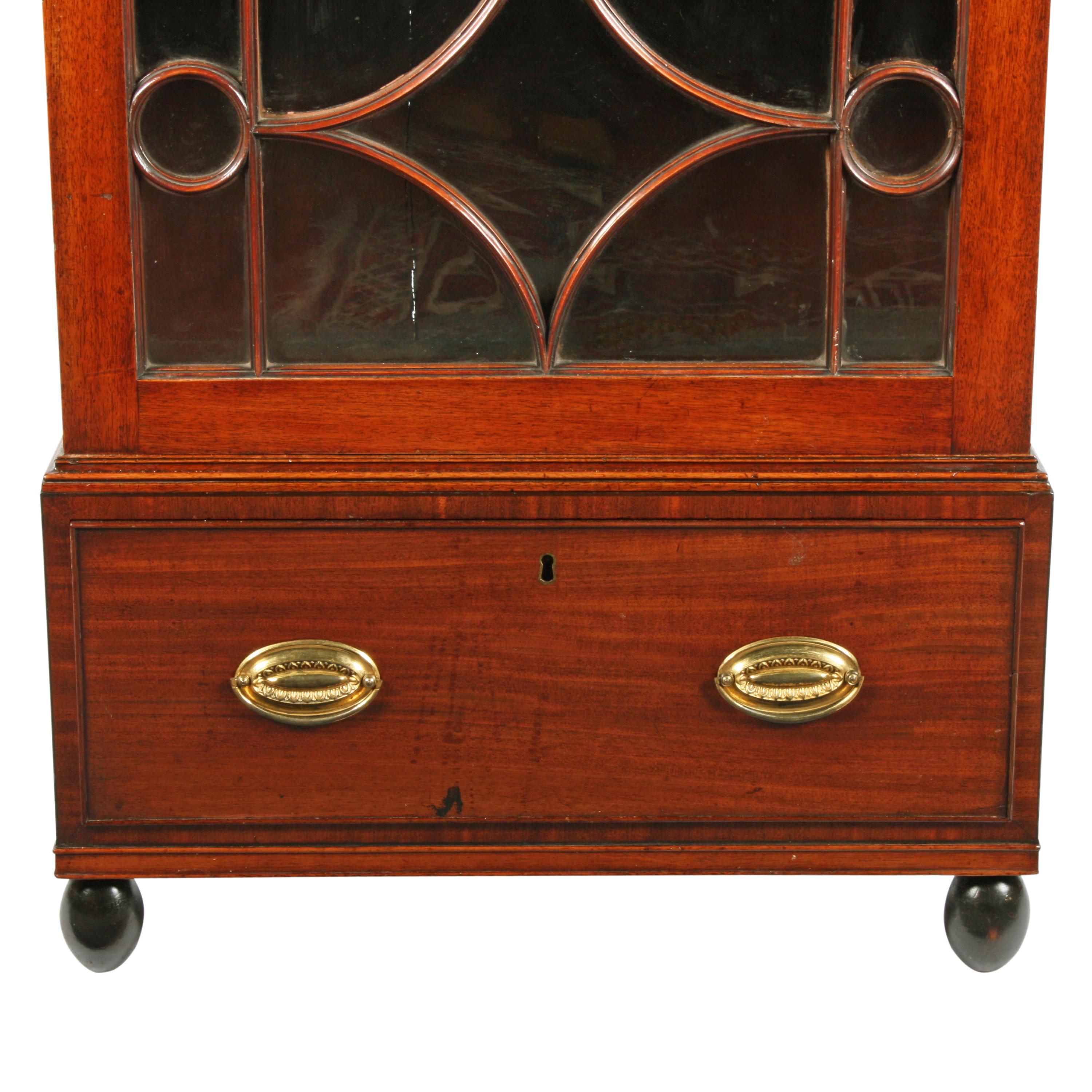 Early 19th Century Georgian Mahogany Dwarf Cabinet For Sale