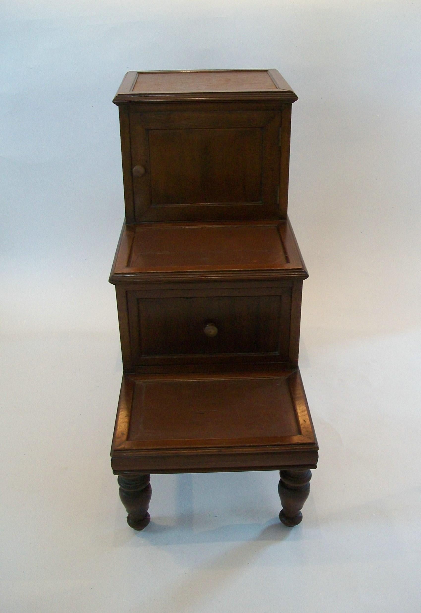 Georgian Hardwood & Leather Library Steps, United Kingdom, Early 19th Century For Sale 5