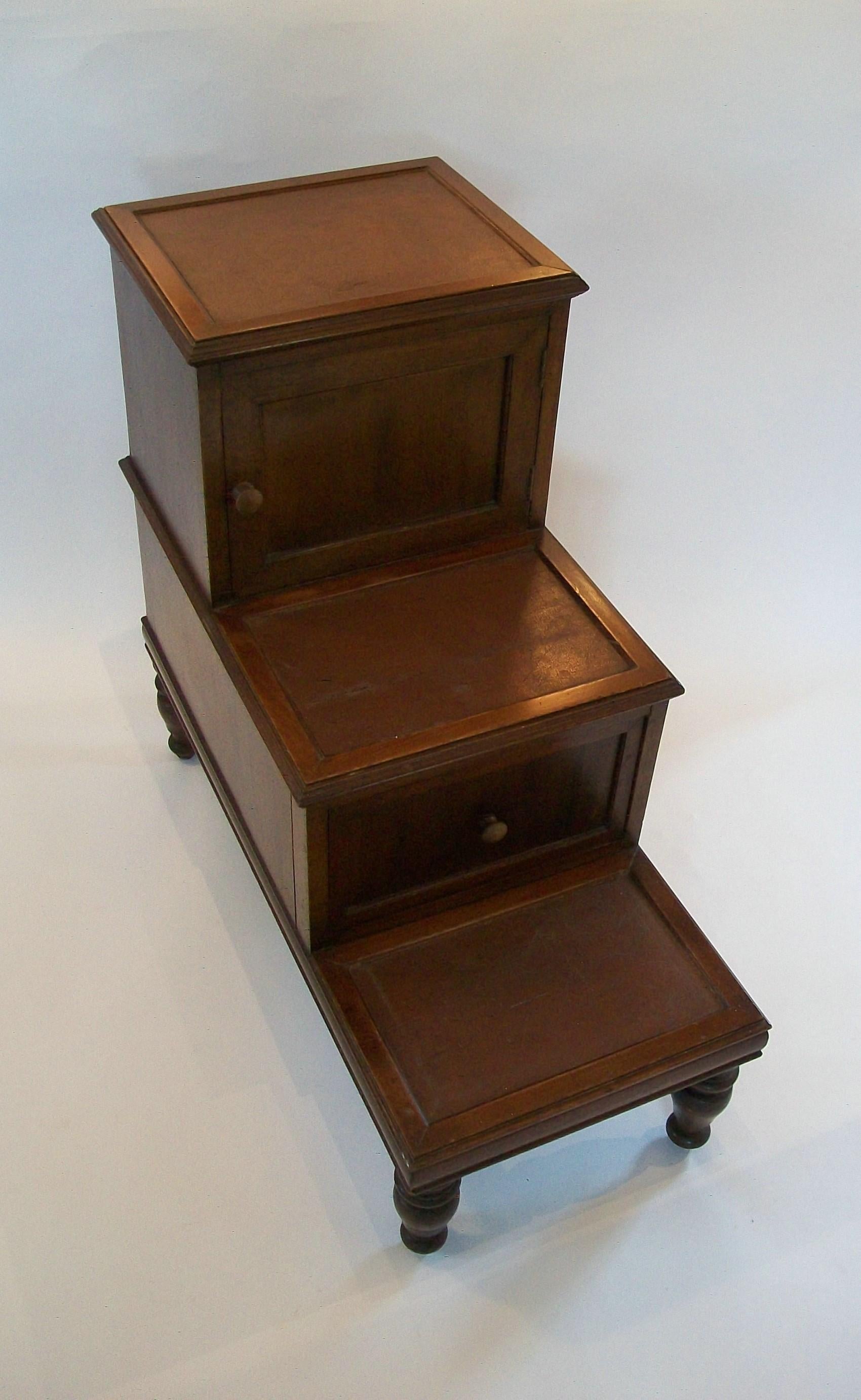 Georgian Hardwood & Leather Library Steps, United Kingdom, Early 19th Century For Sale 2