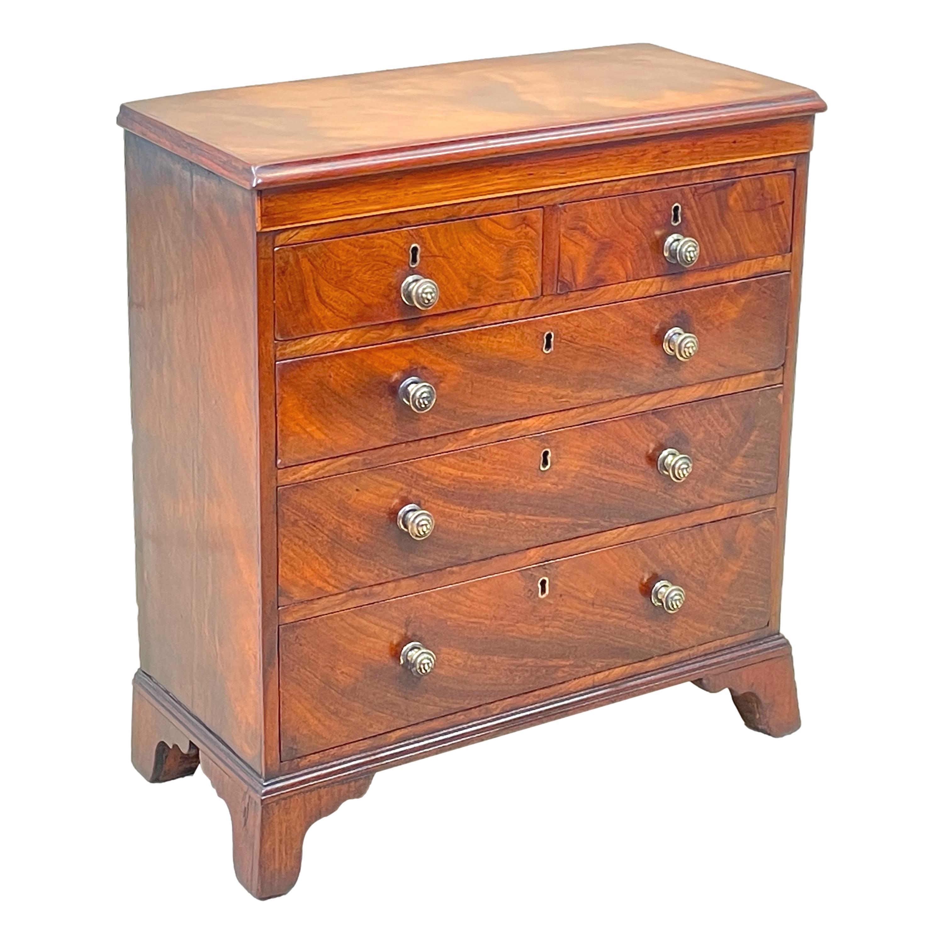 19th Century Georgian Mahogany Miniature Chest For Sale