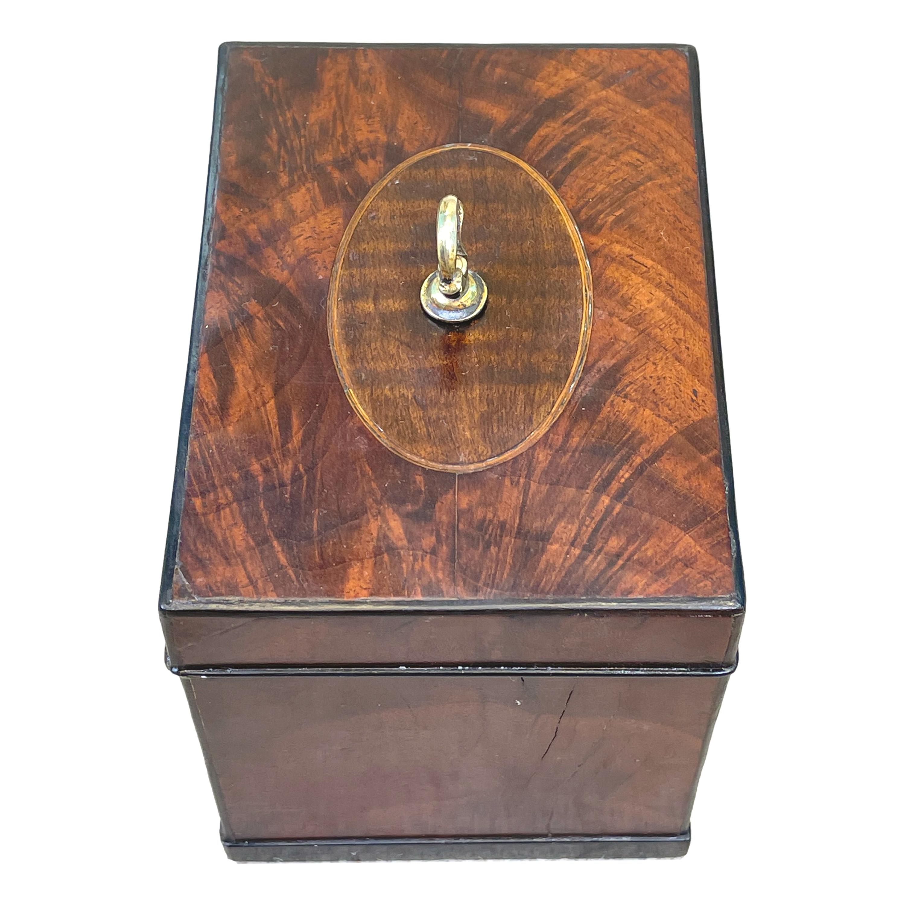 Georgian Mahogany Oblong Tea Caddy In Good Condition For Sale In Bedfordshire, GB