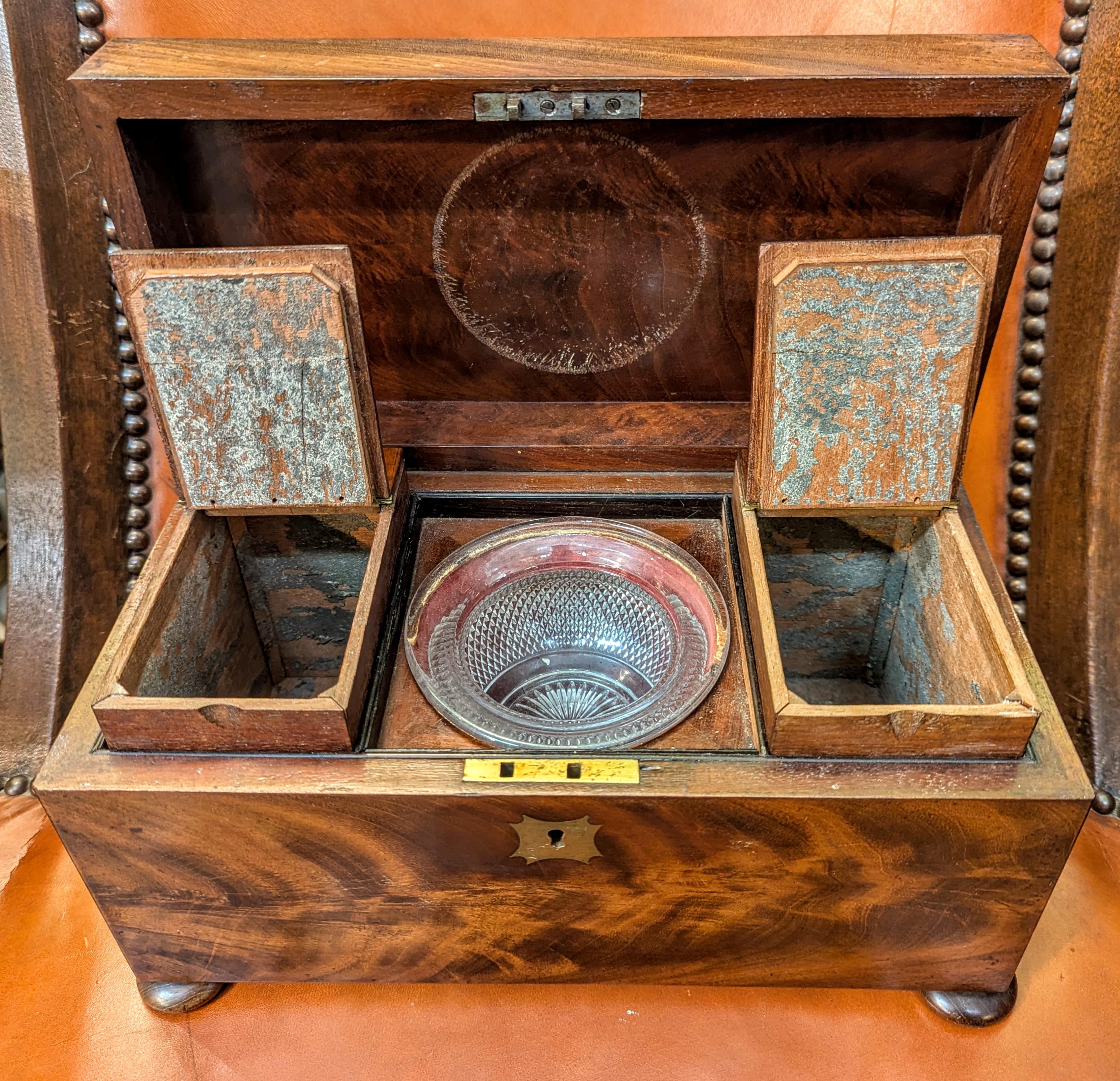 Boîte à thé géorgienne en acajou Bon état - En vente à Southall, GB