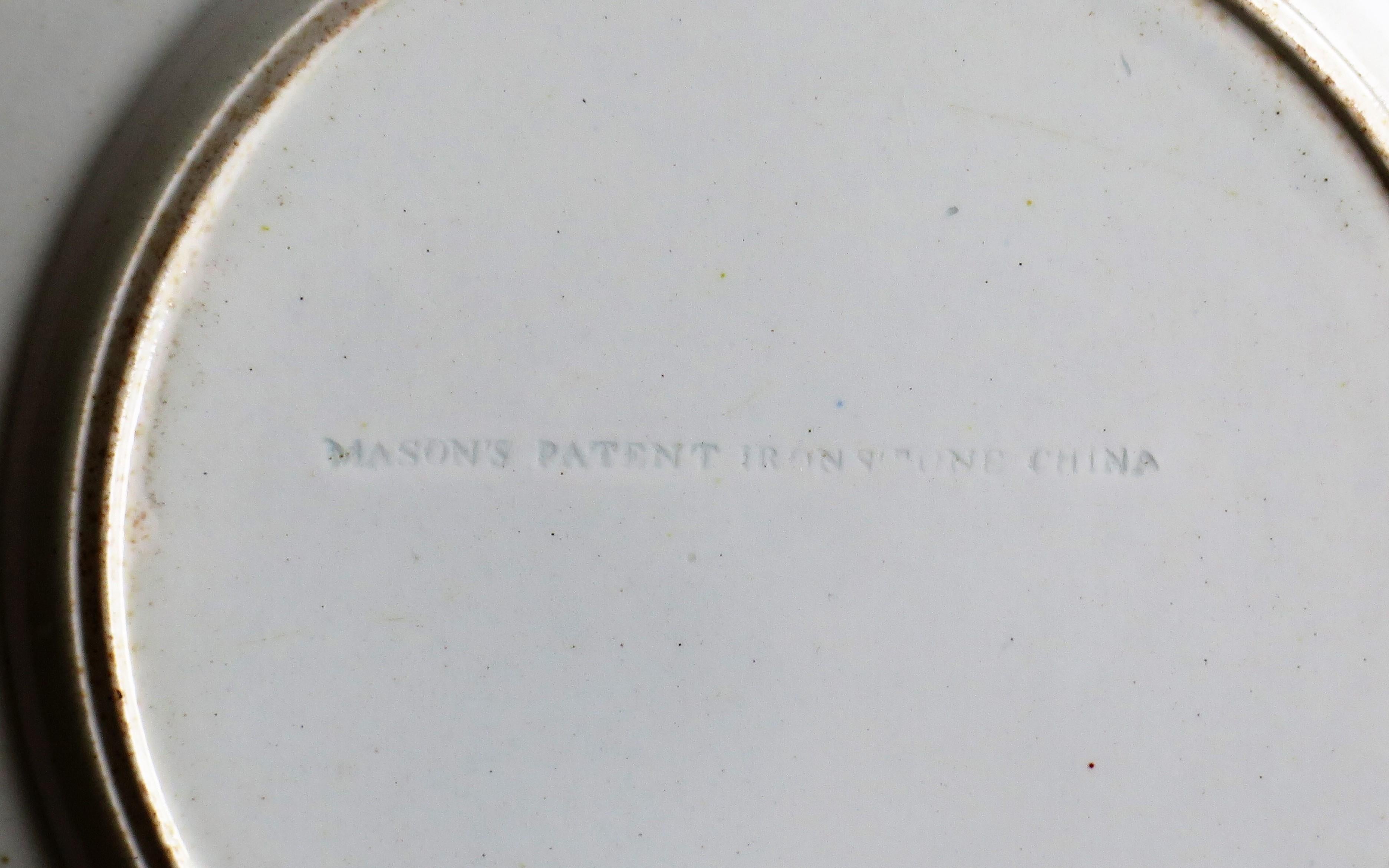 Georgian Mason's Ironstone Plate in Water Lily Pattern, circa 1818 5