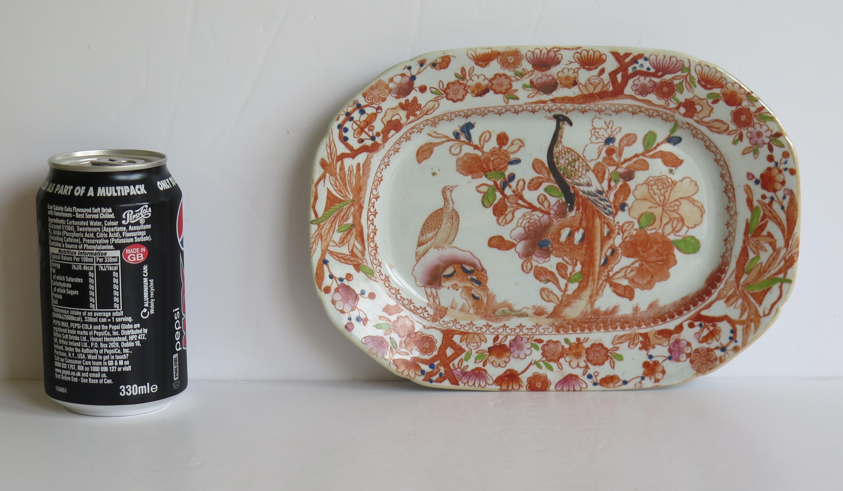 Georgian Mason's Ironstone Platter in Oriental Pheasant Ptn, circa 1818 3