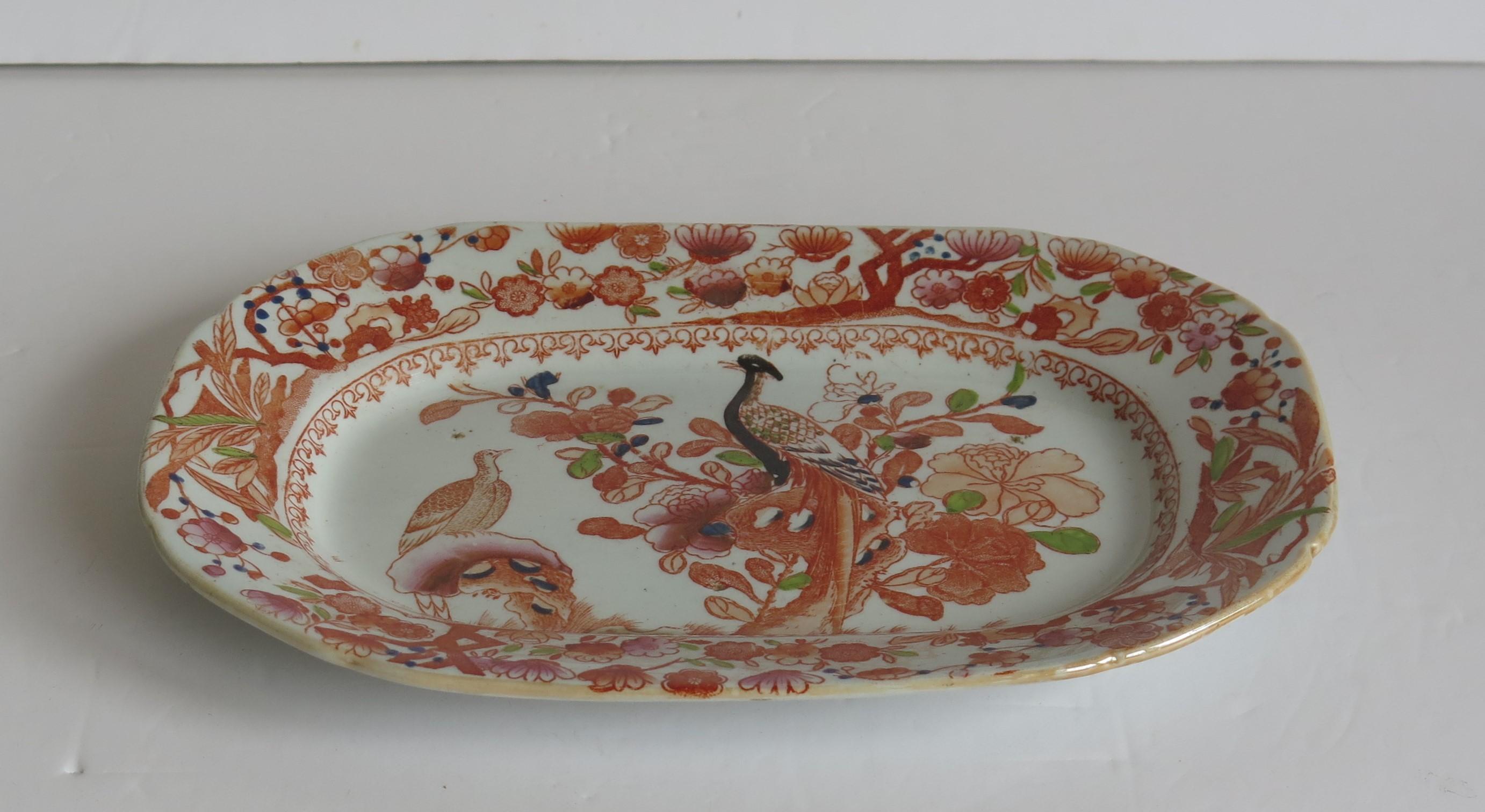 Chinoiserie Georgian Mason's Ironstone Platter in Oriental Pheasant Ptn, circa 1818