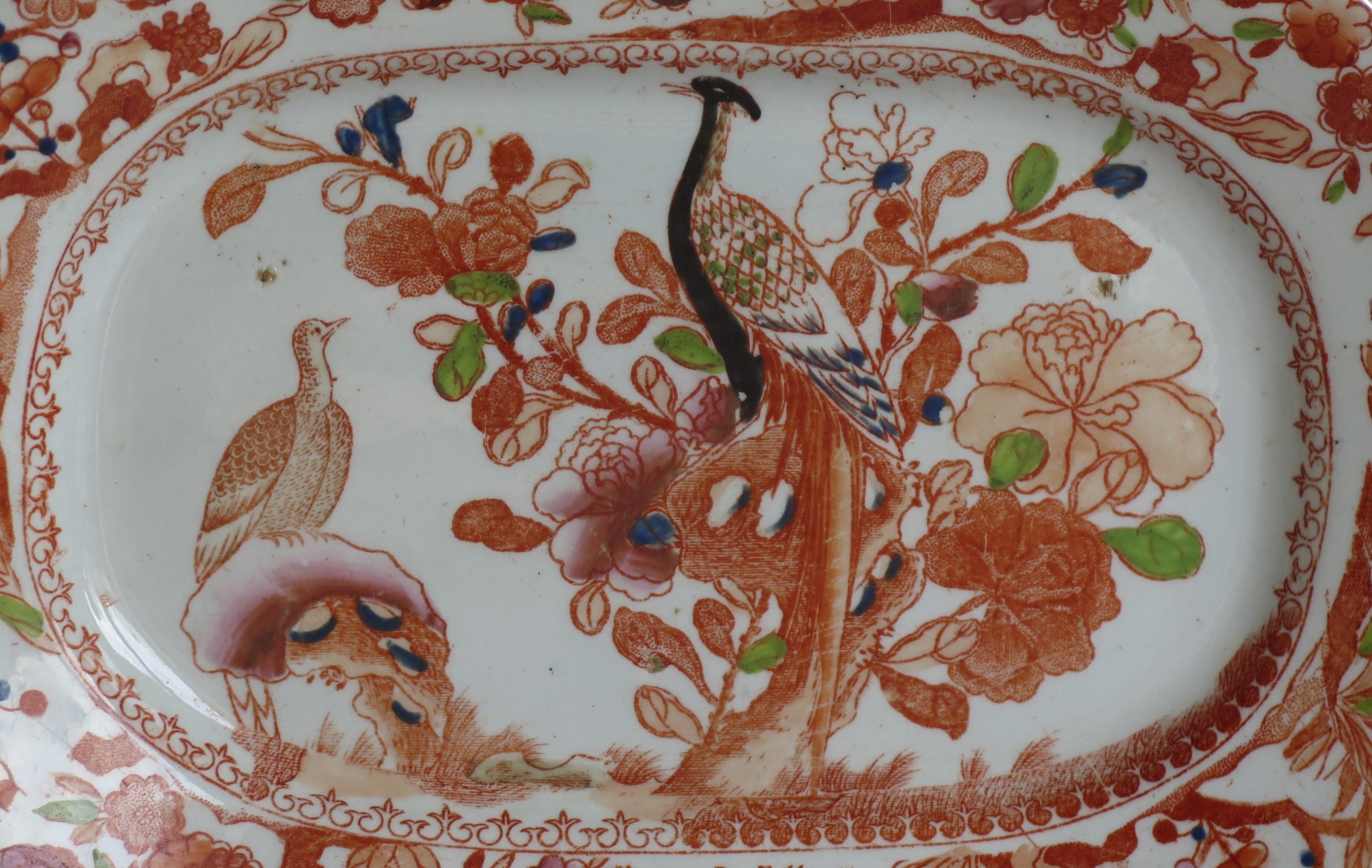 Hand-Painted Georgian Mason's Ironstone Platter in Oriental Pheasant Ptn, circa 1818