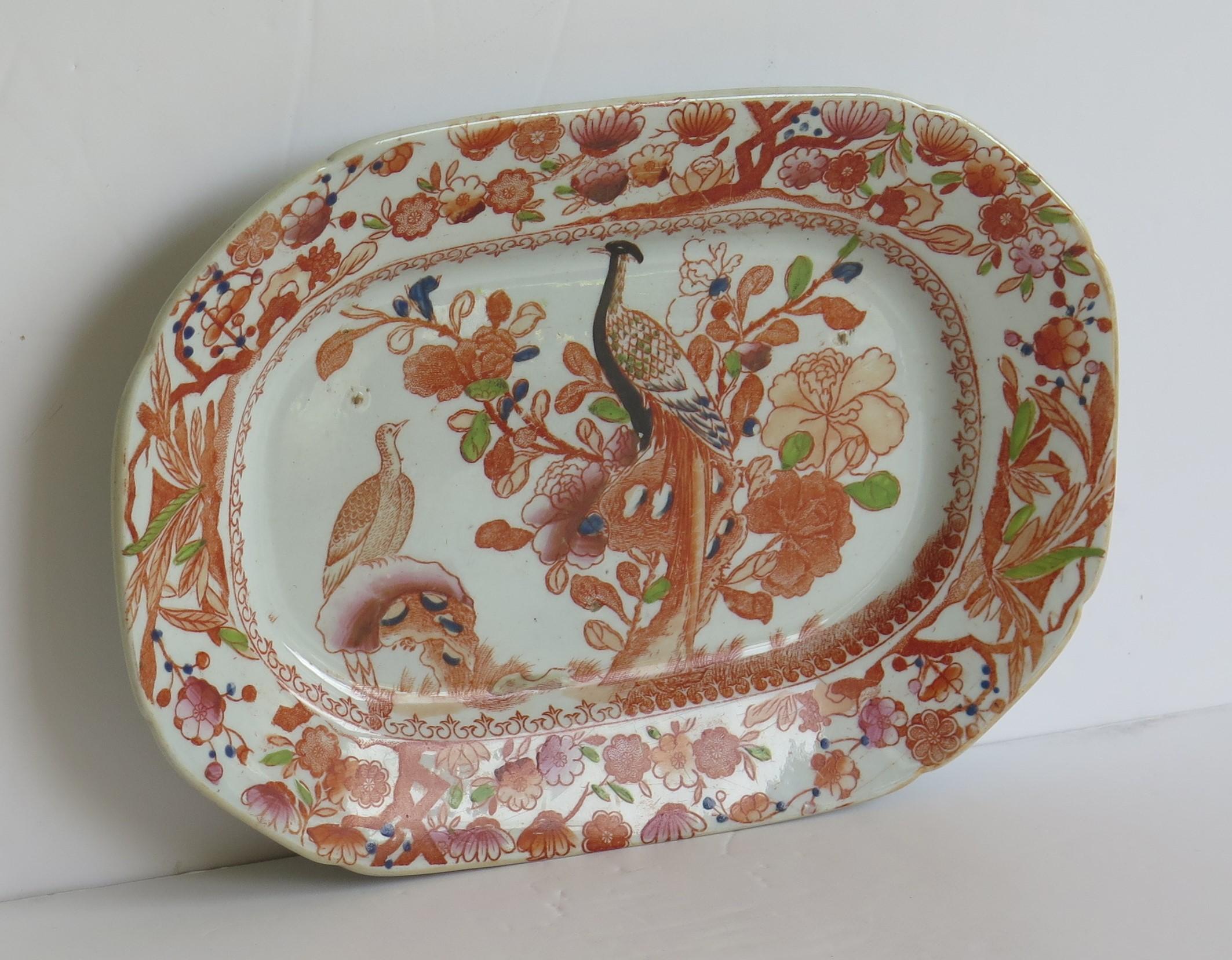 Georgian Mason's Ironstone Platter in Oriental Pheasant Ptn, circa 1818 In Good Condition In Lincoln, Lincolnshire