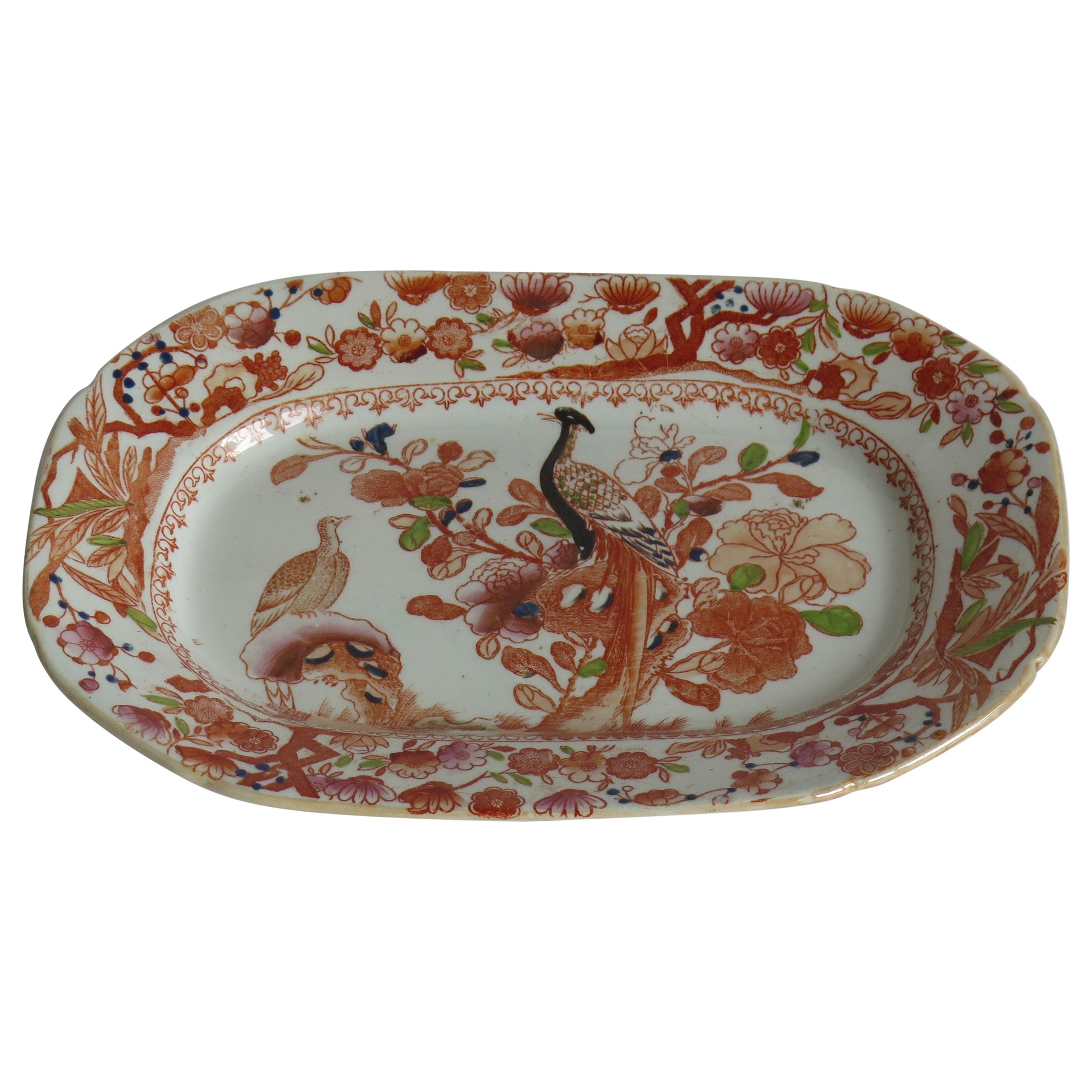 Georgian Mason's Ironstone Platter in Oriental Pheasant Ptn, circa 1818