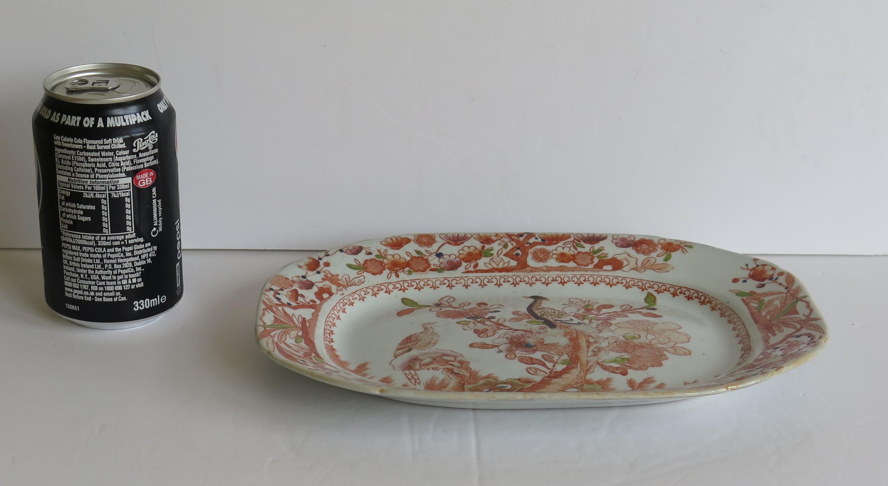 Georgian Mason's Ironstone Platter or Plate in Oriental Pheasant Ptn, circa 1818 6