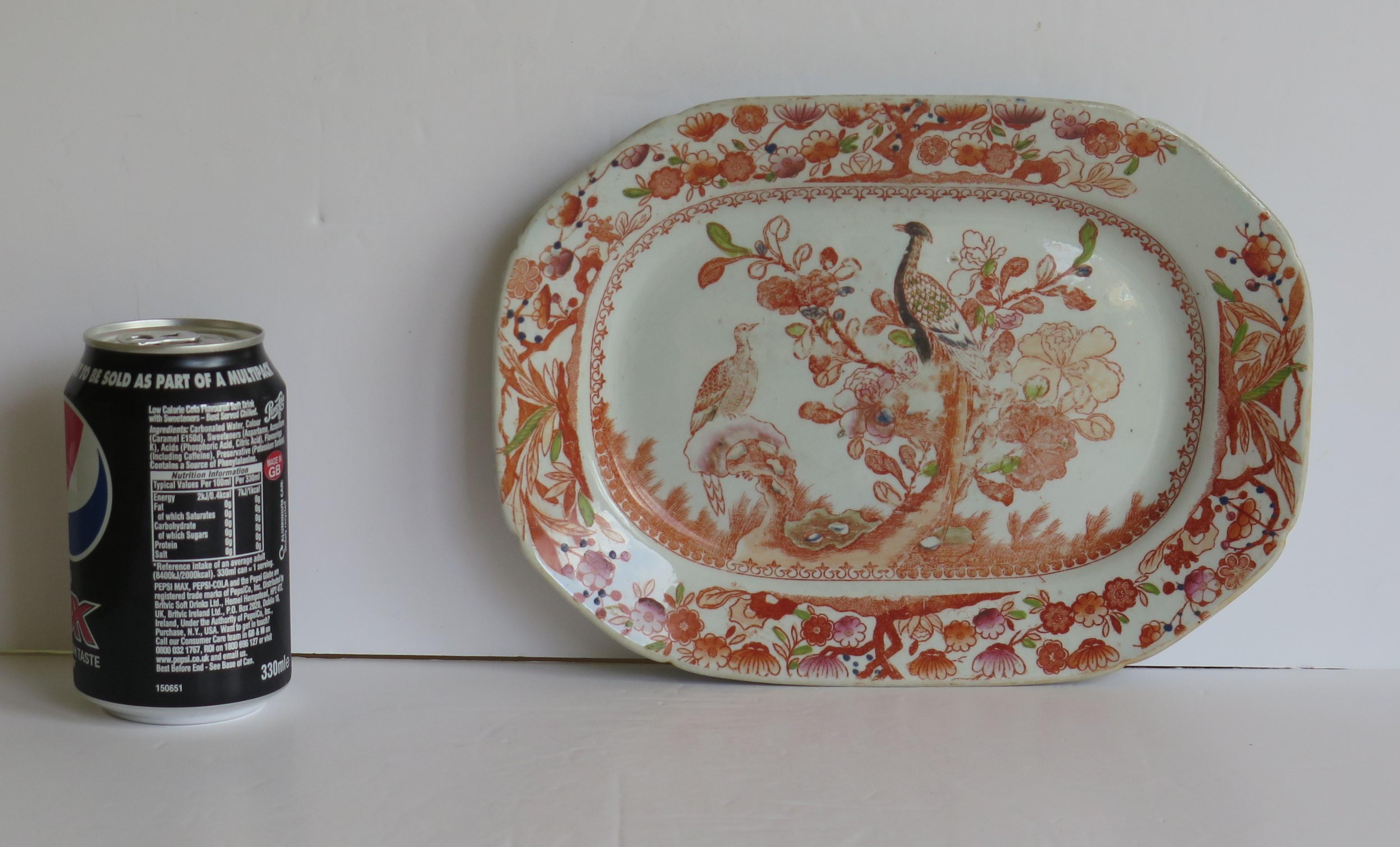 Georgian Mason's Ironstone Platter or Plate in Oriental Pheasant Ptn, circa 1818 7