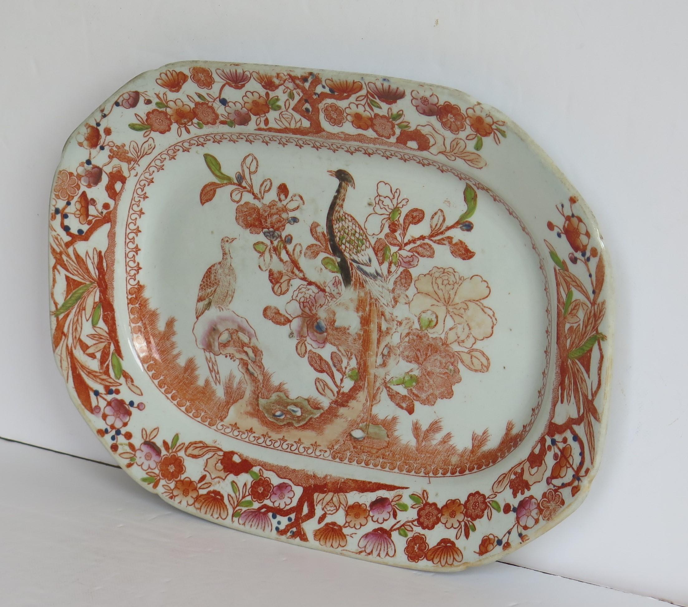 Chinoiserie Georgian Mason's Ironstone Platter or Plate in Oriental Pheasant Ptn, circa 1818