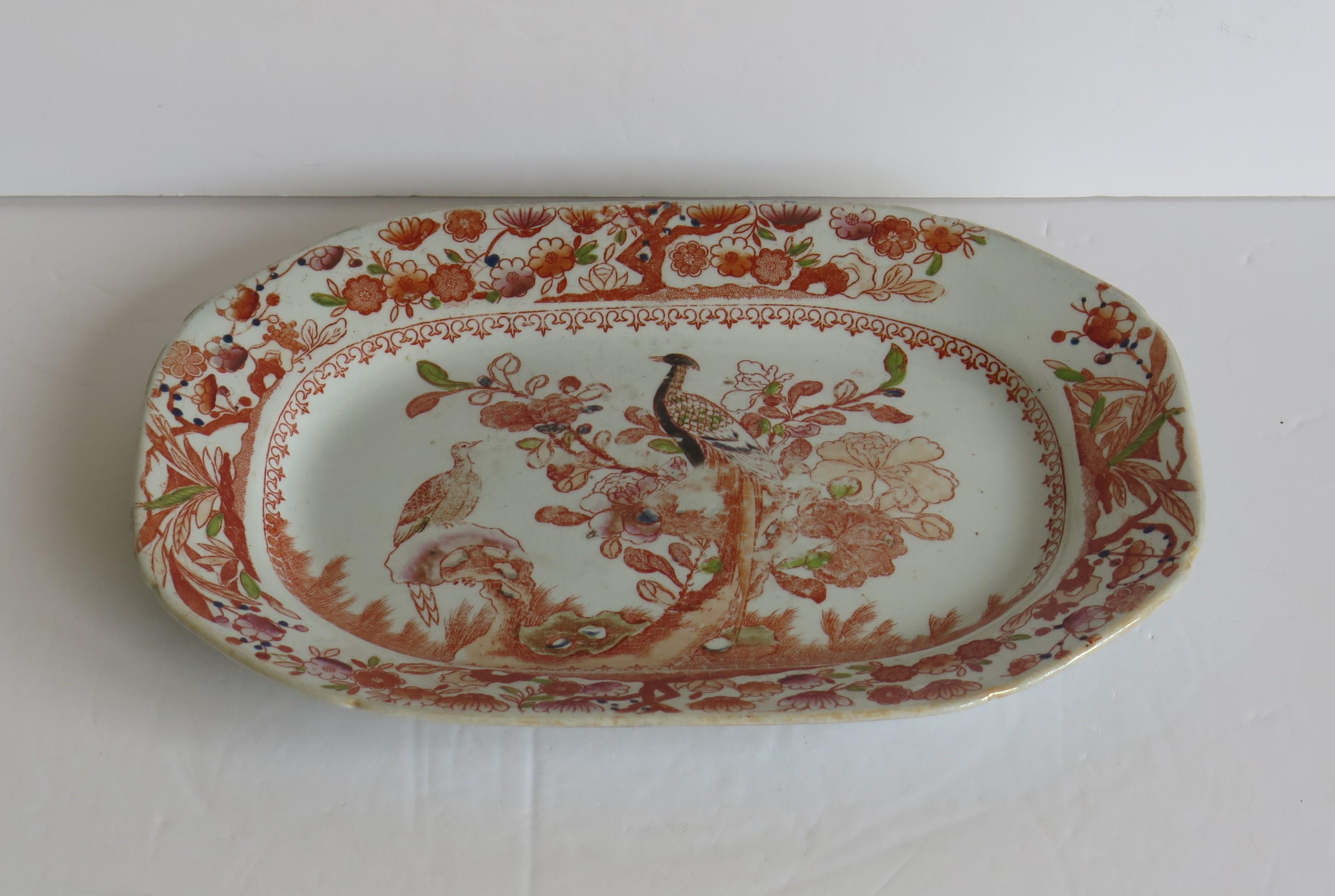 English Georgian Mason's Ironstone Platter or Plate in Oriental Pheasant Ptn, circa 1818