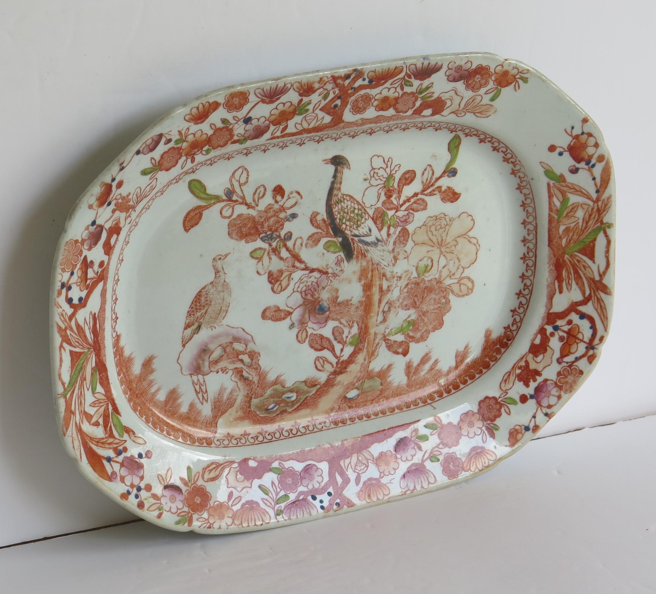 19th Century Georgian Mason's Ironstone Platter or Plate in Oriental Pheasant Ptn, circa 1818