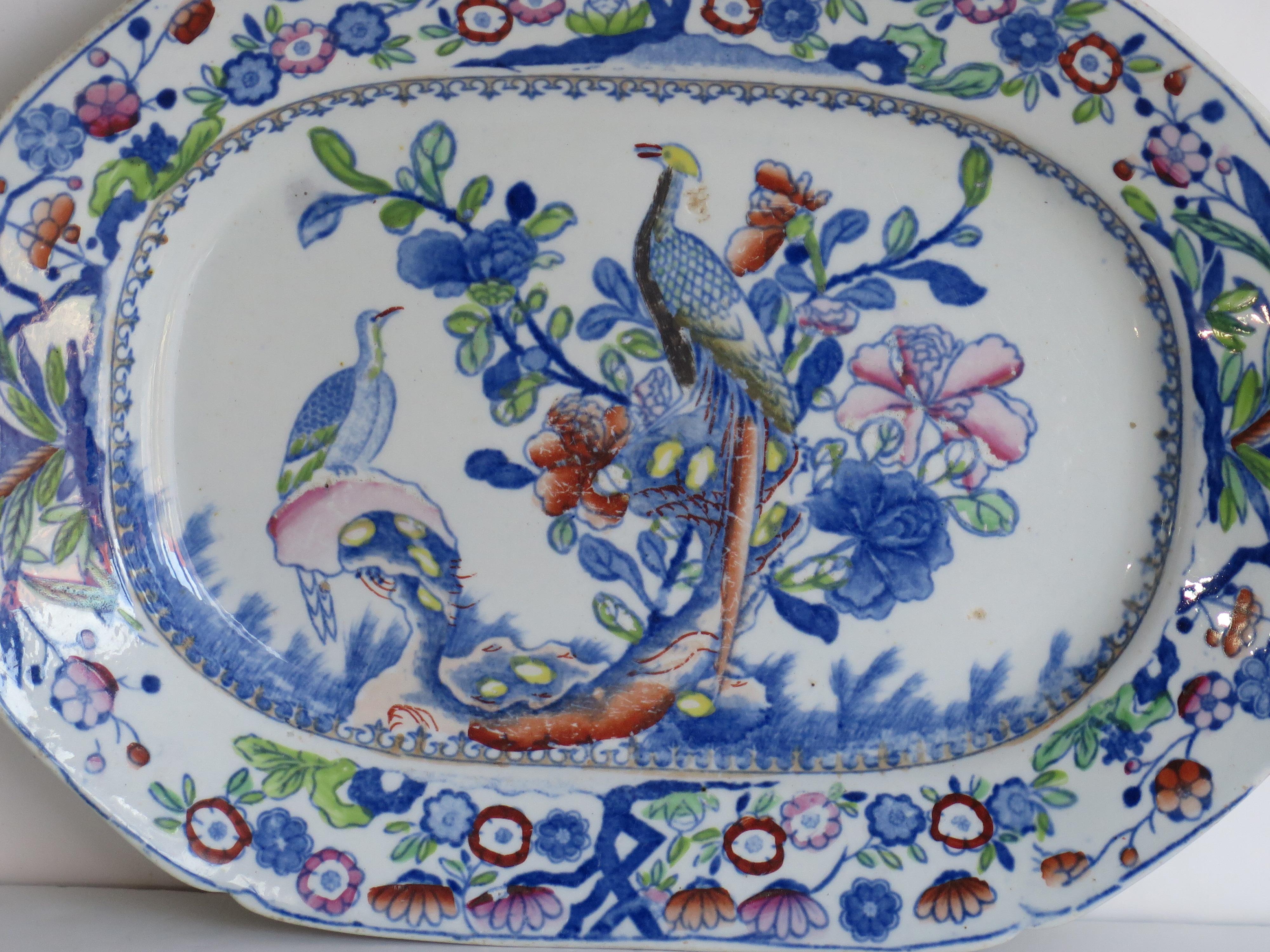 English Georgian Mason's Ironstone Serving Platter in Oriental Pheasant Pattern, Ca 1820
