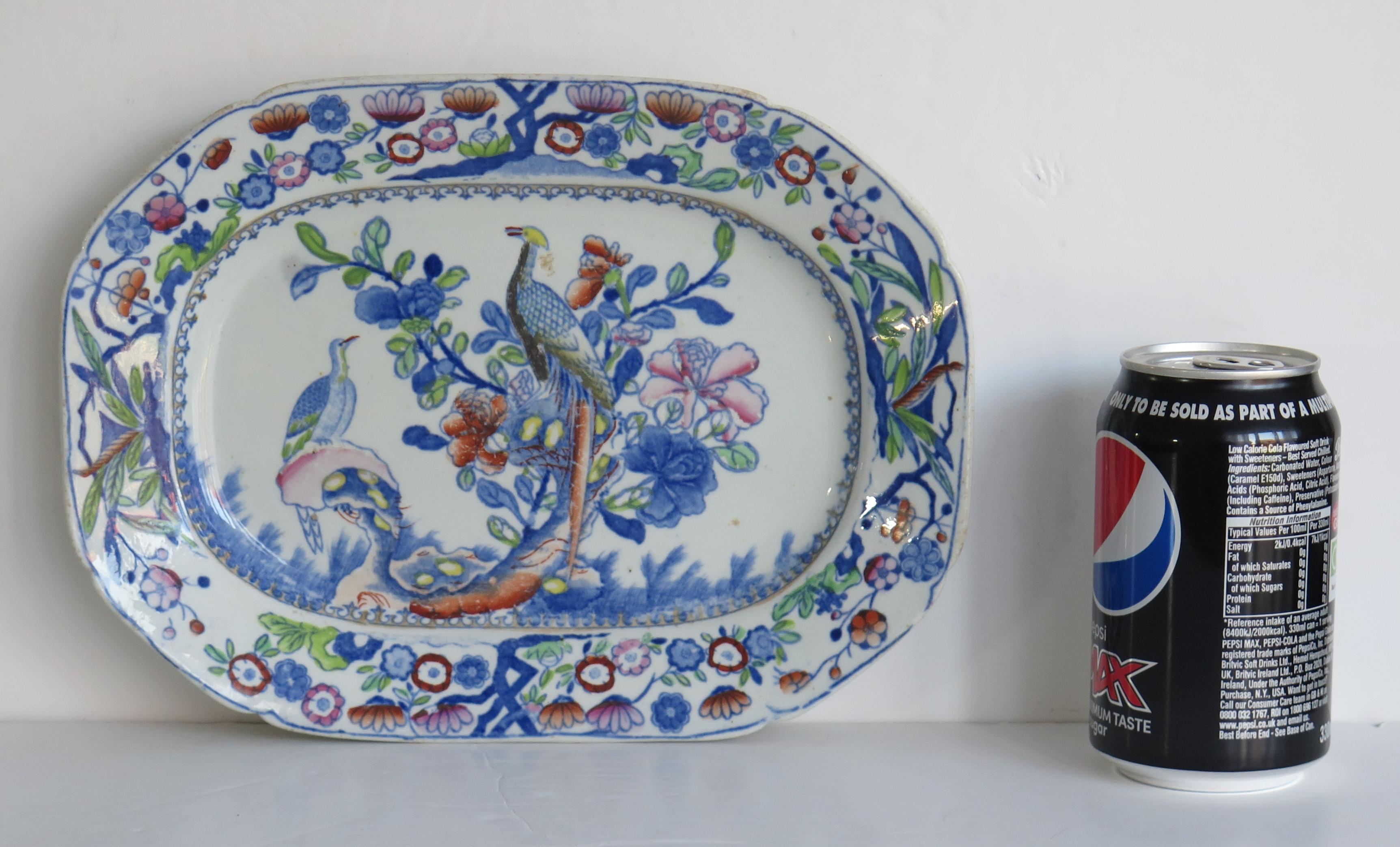 Georgian Mason's Ironstone Serving Platter in Oriental Pheasant Pattern, Ca 1820 1