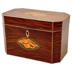 Achteckige georgianische Teedose aus Teilridge-Holz