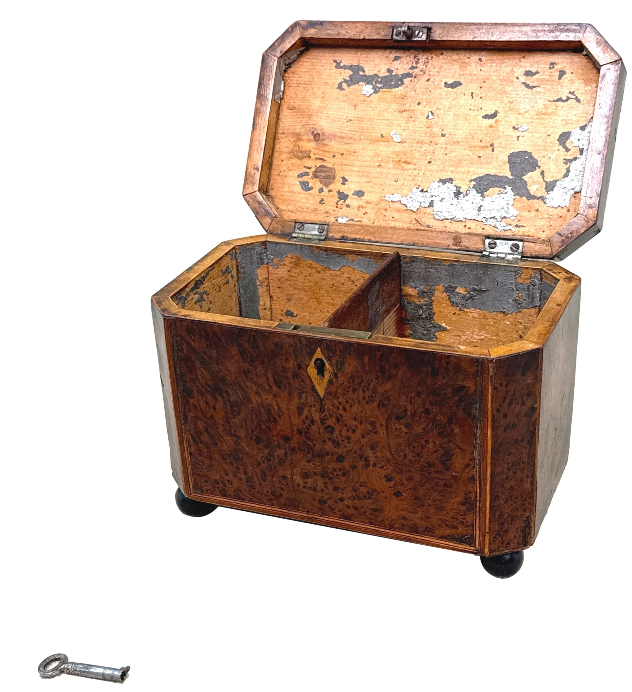 Boîte à thé octogonale géorgienne en bois d'if Bon état - En vente à Bedfordshire, GB