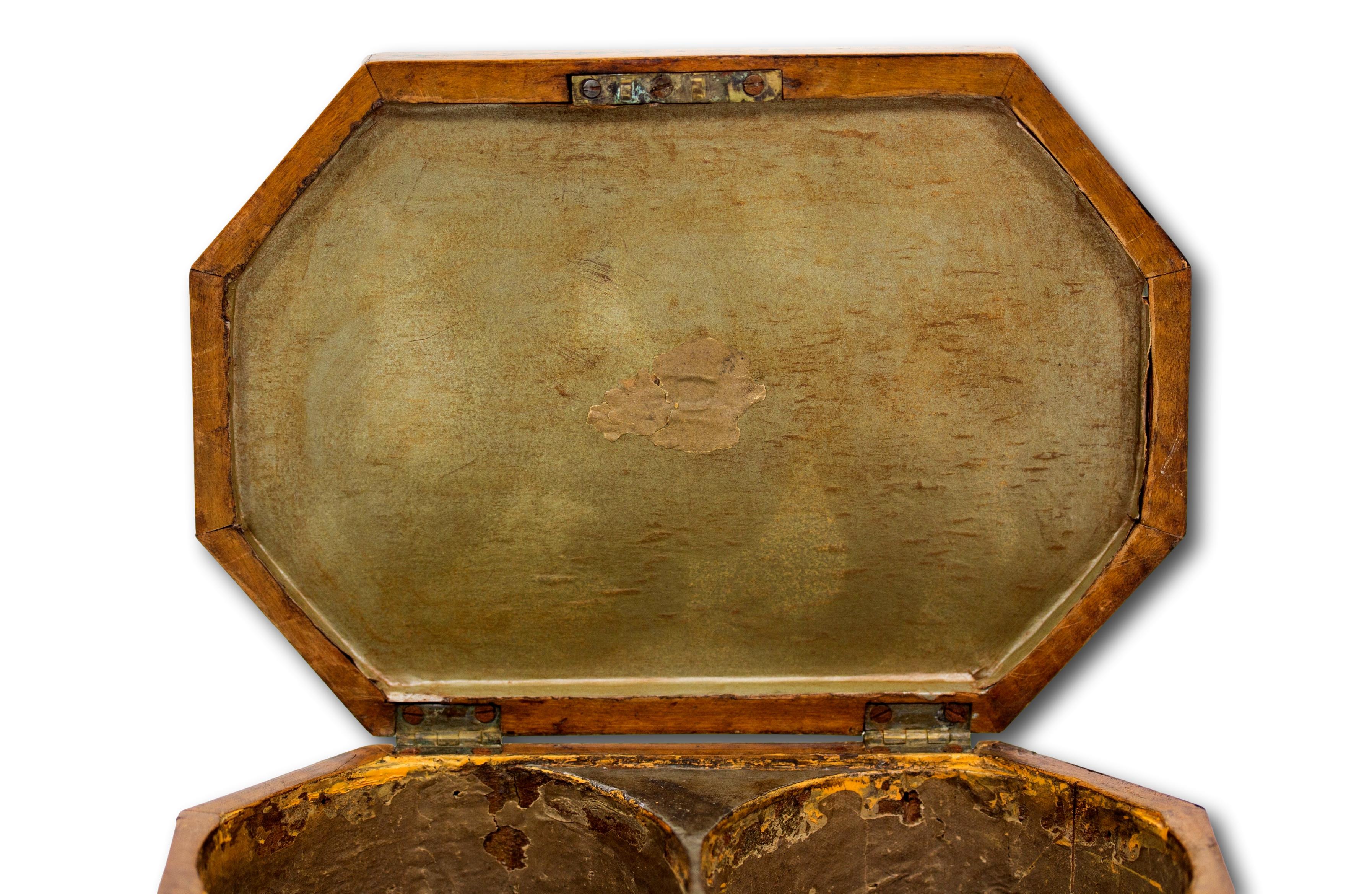 Georgian Original Painted Sycamore Tea Caddy For Sale 5