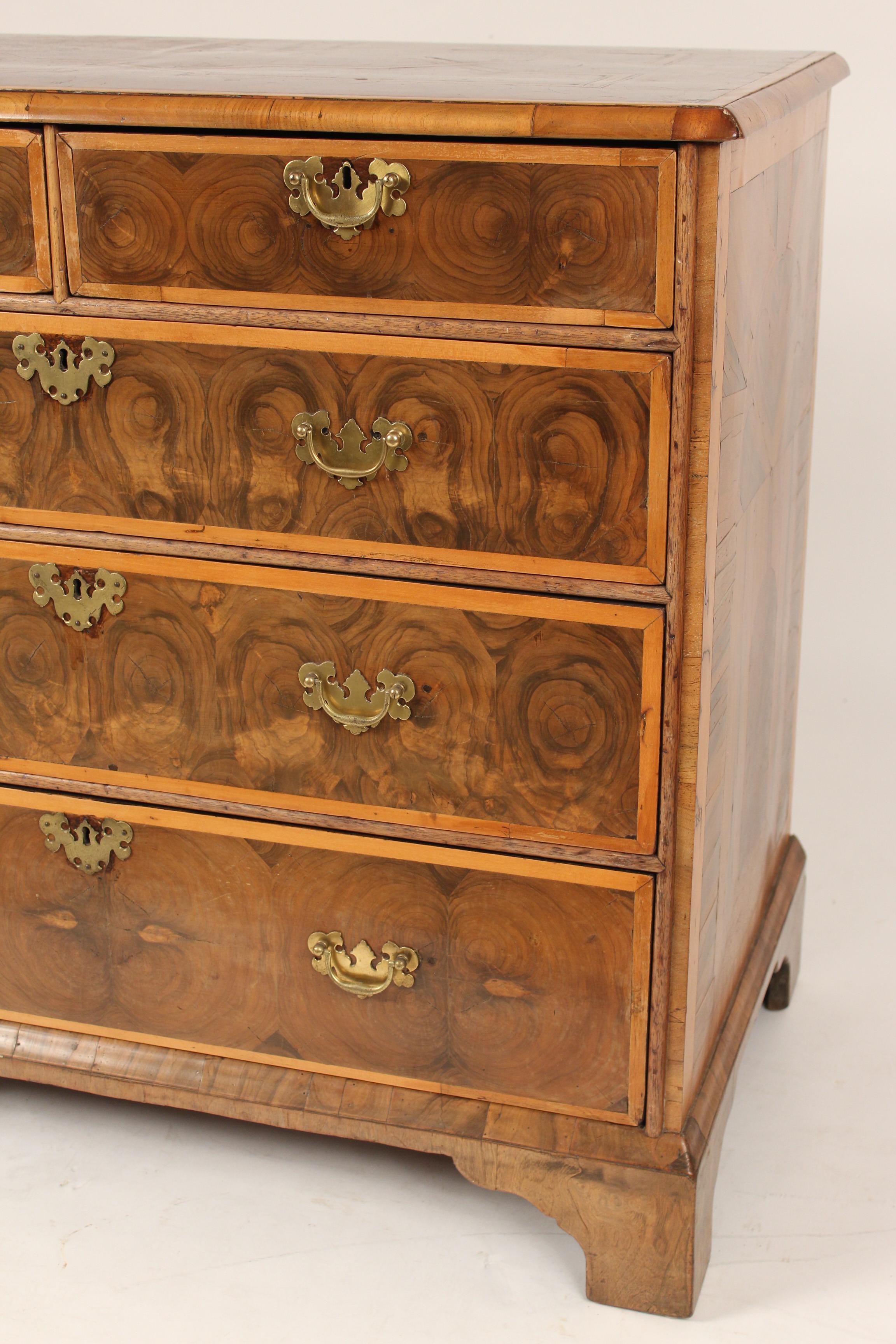 Georgian Oyster Burl Chest of Drawers For Sale 1