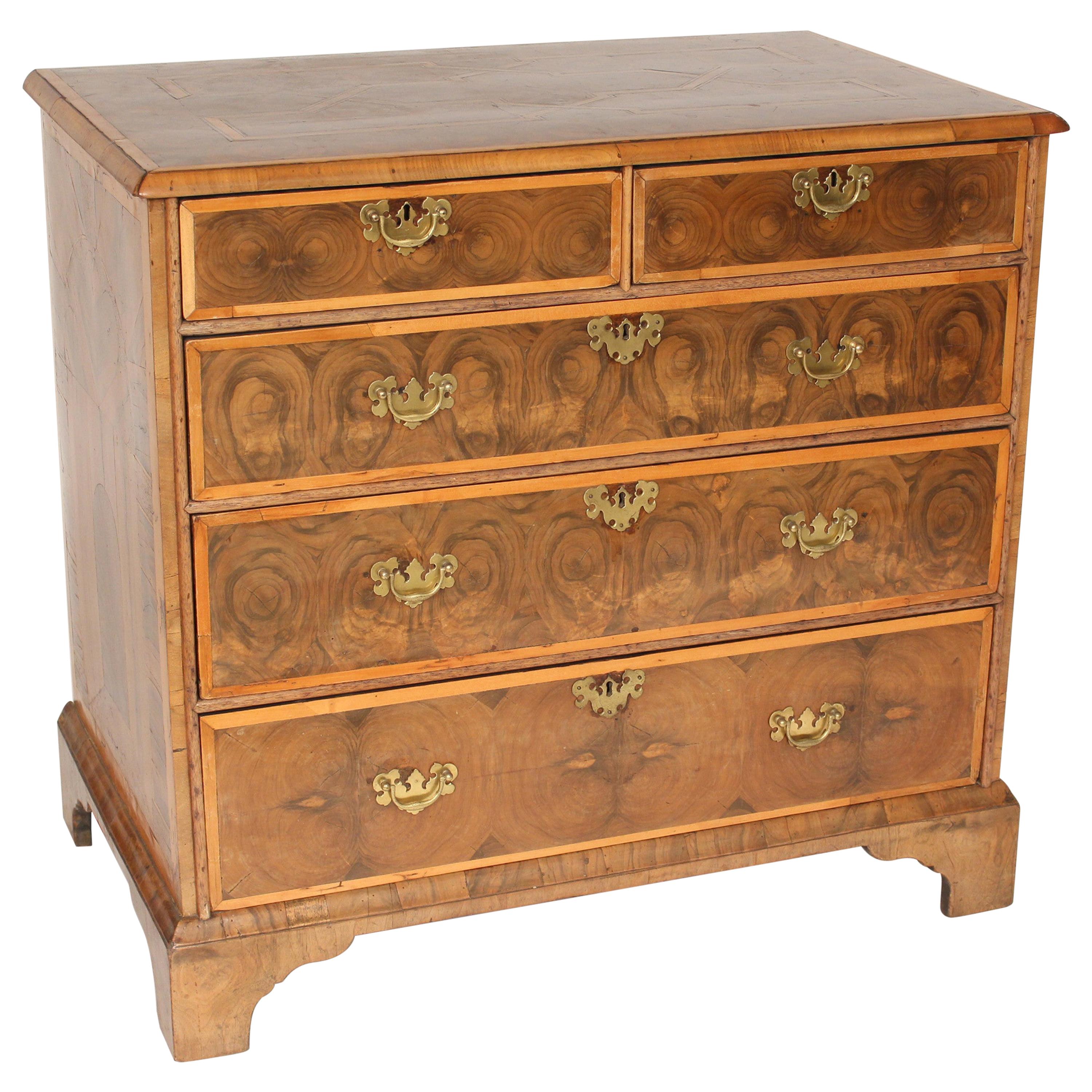 Georgian Oyster Burl Chest of Drawers For Sale