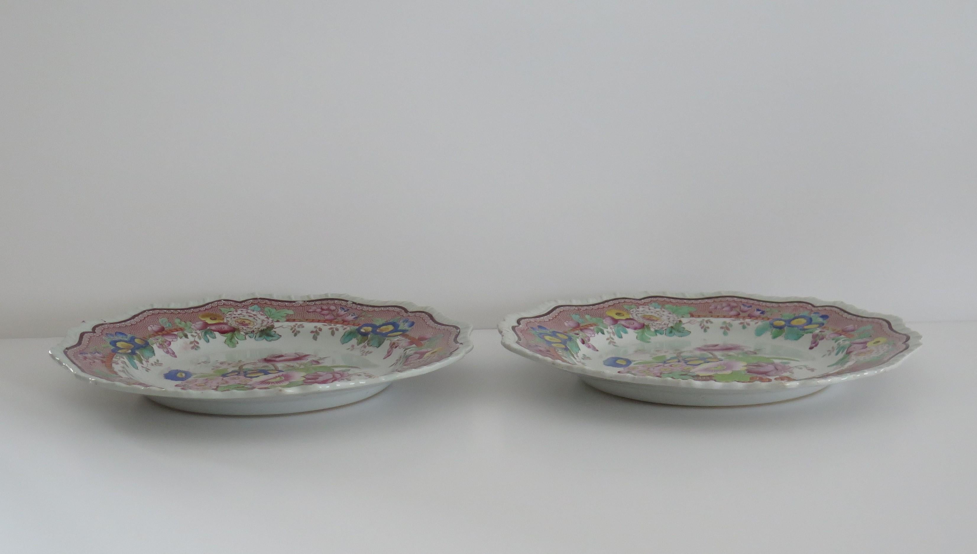 Georgian Pair Hicks and Meigh Ironstone Dinner Plates in Pattern 23, Circa 1815 1