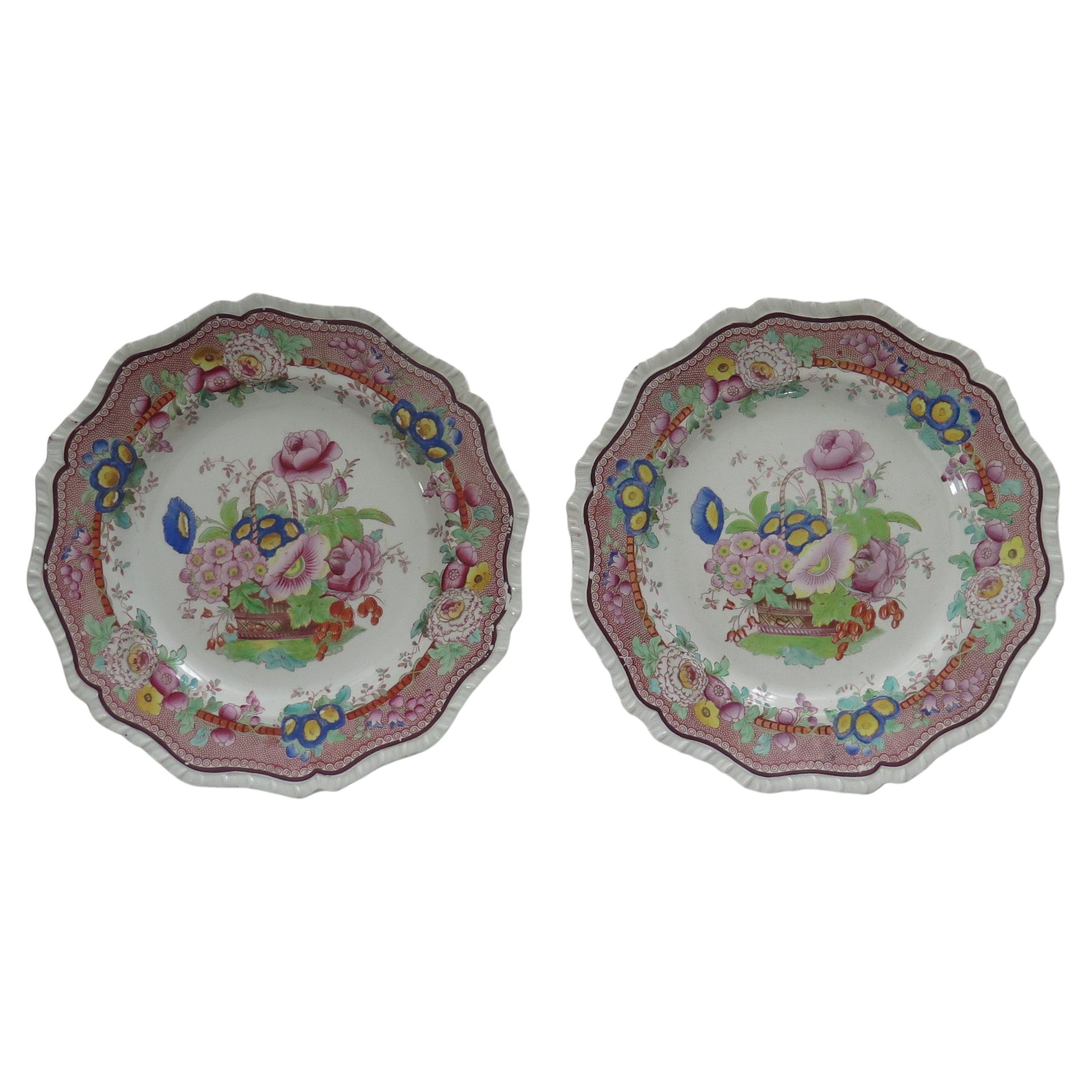Georgian Pair Hicks and Meigh Ironstone Dinner Plates in Pattern 23, Circa 1815