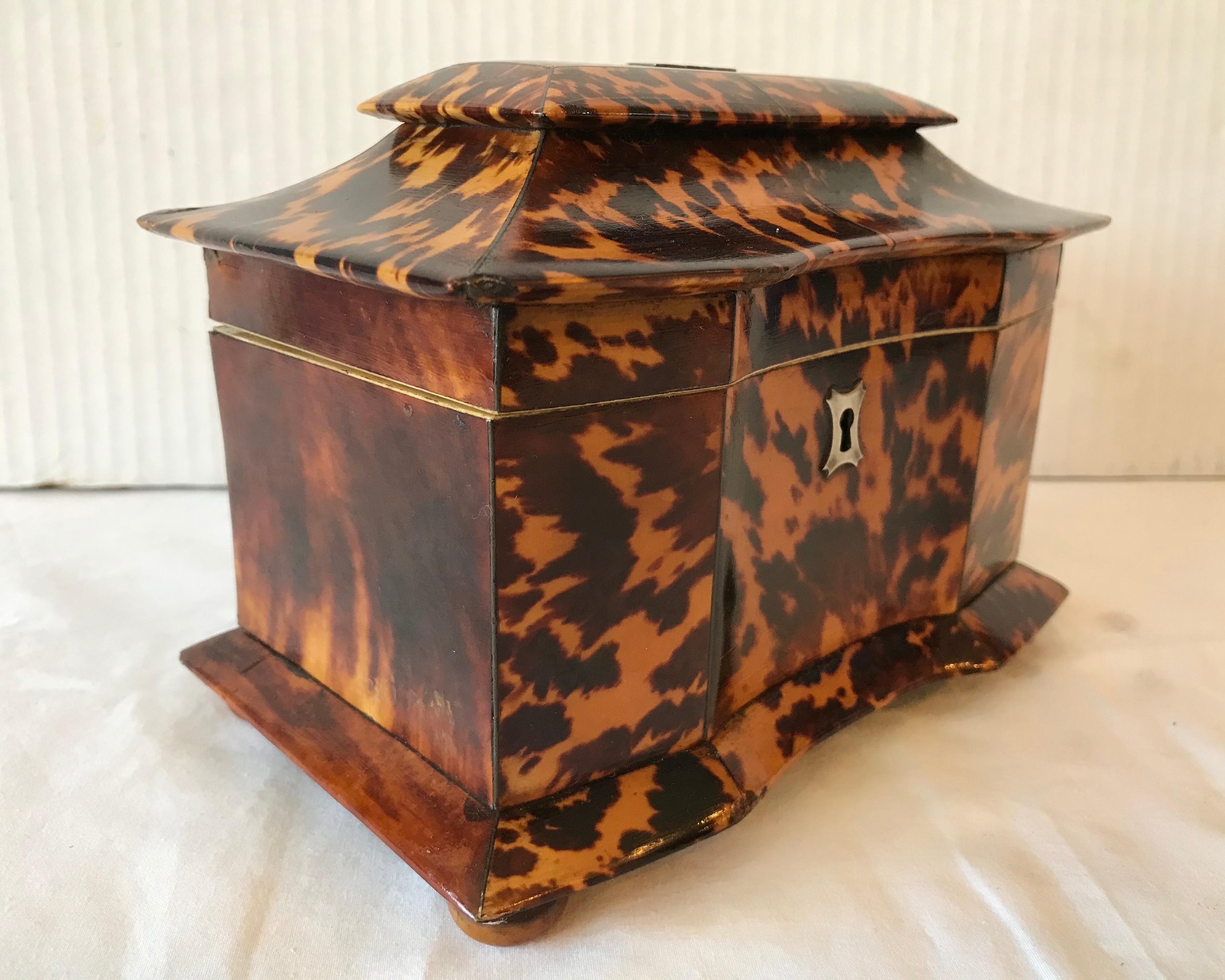 Metal Georgian Period Tea Caddy with 